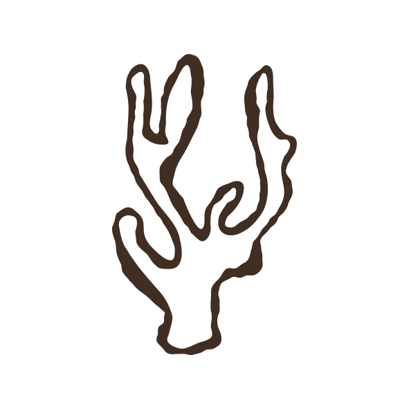Shell Icon