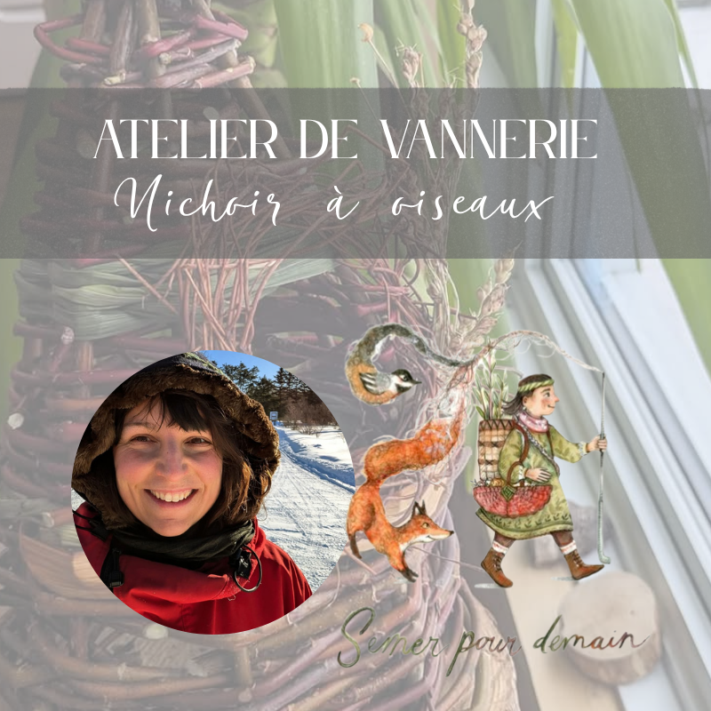 Atelier de vannerie : Nichoir à oiseaux 