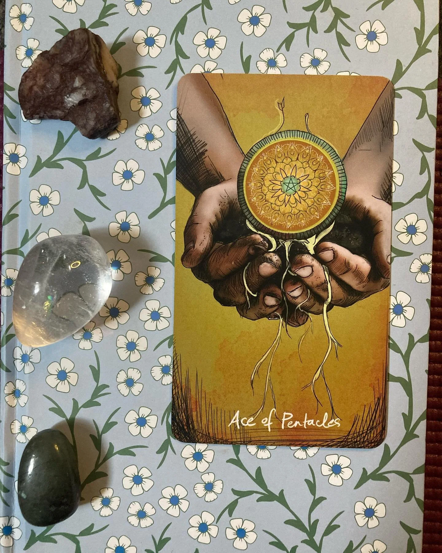 Today’s Tarot Exploration ✨
It is a brand new beginning. This is a gentle time of planting seeds for the future that are quaking with potential. This upcoming year is fertile soil for you to grow the life that is the truest expression of your
