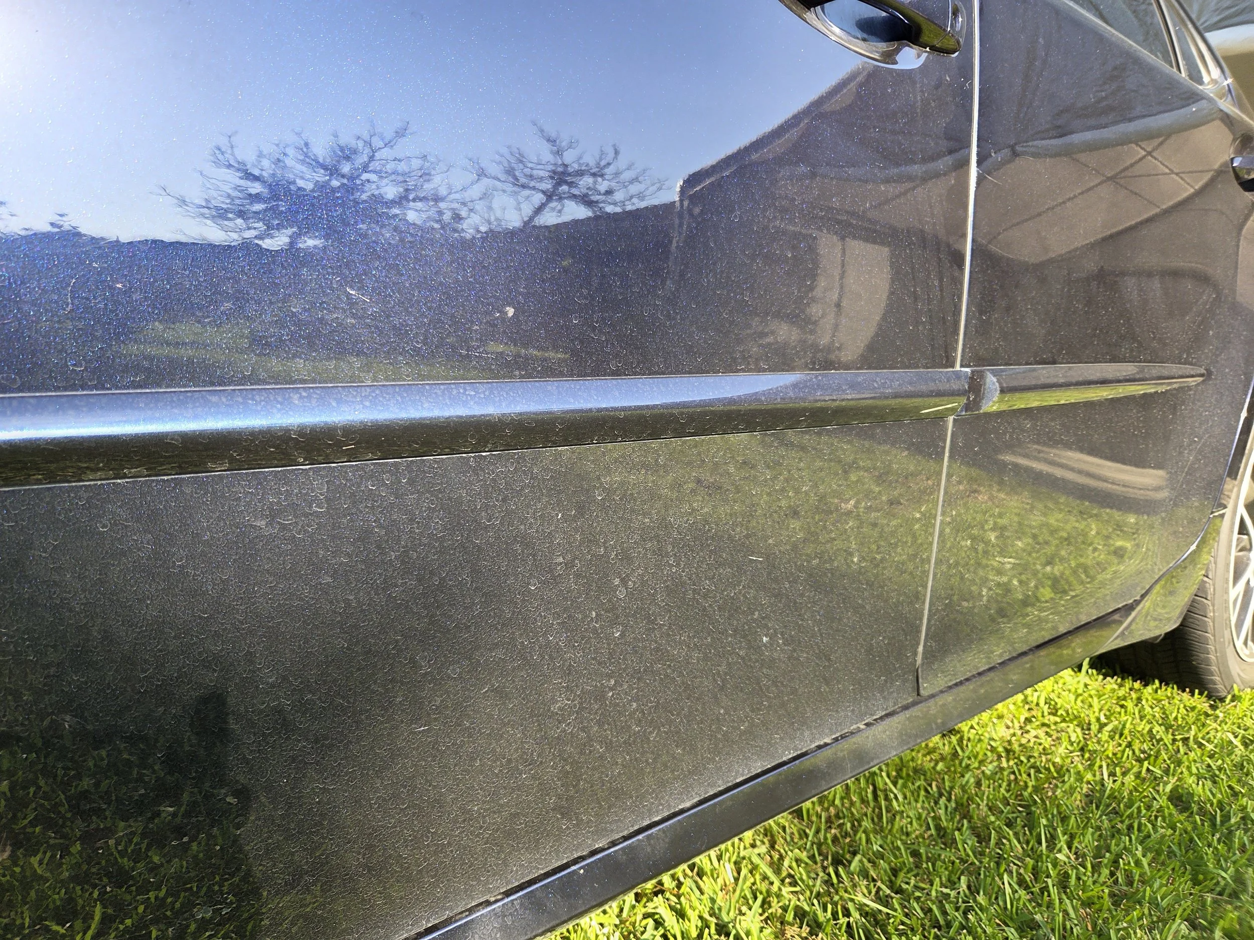 Close-up of a blue Lexus sedan that appears black before detailing.