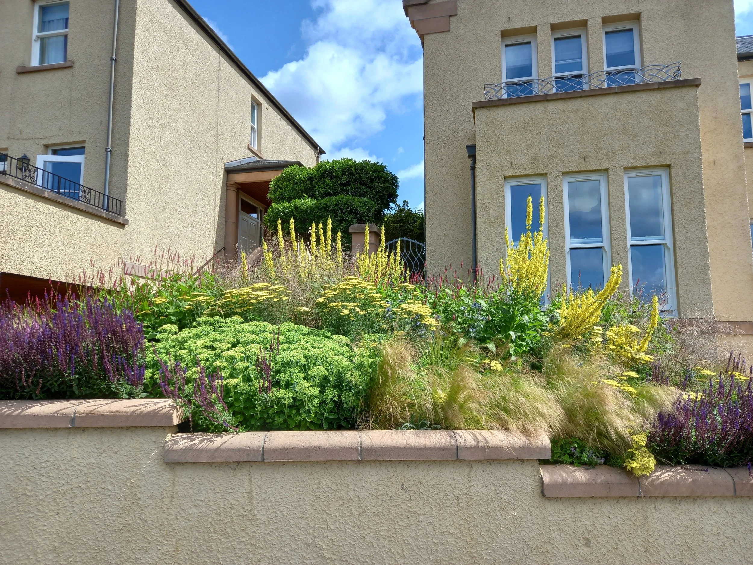 Beautiful naturalistic planting, Edinburgh.