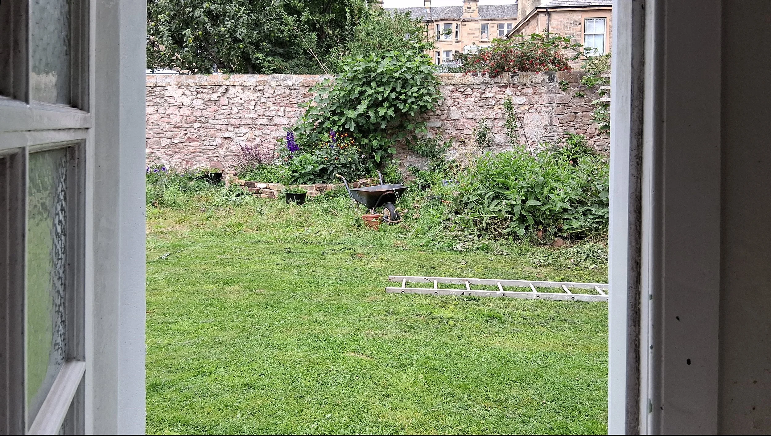 The view of a back garden from the back door of the house.