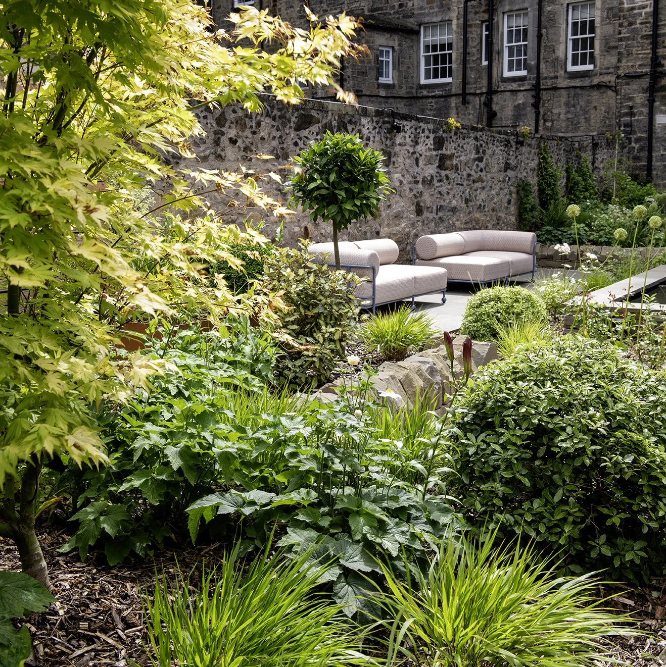 Shade planting, Edinburgh.