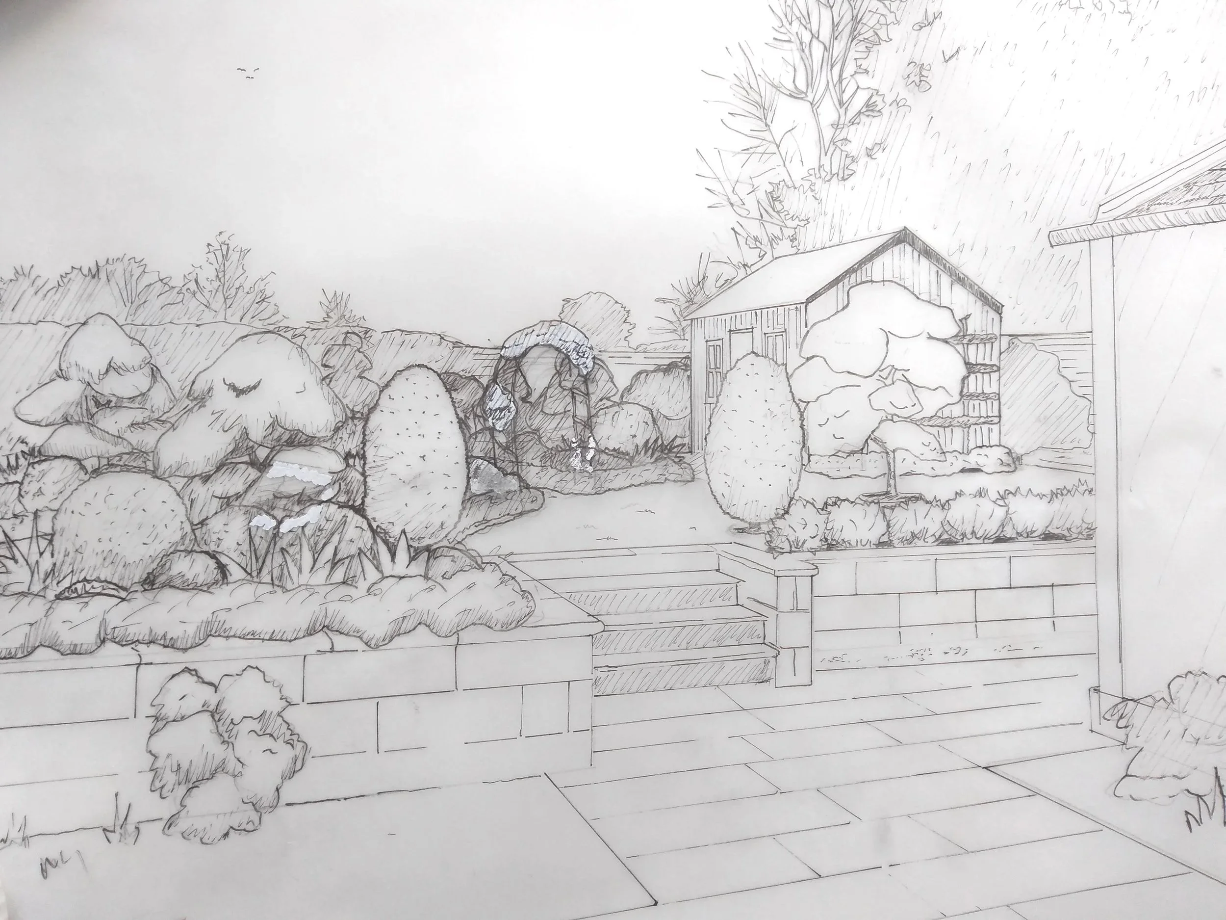 pencil drawing of a garden