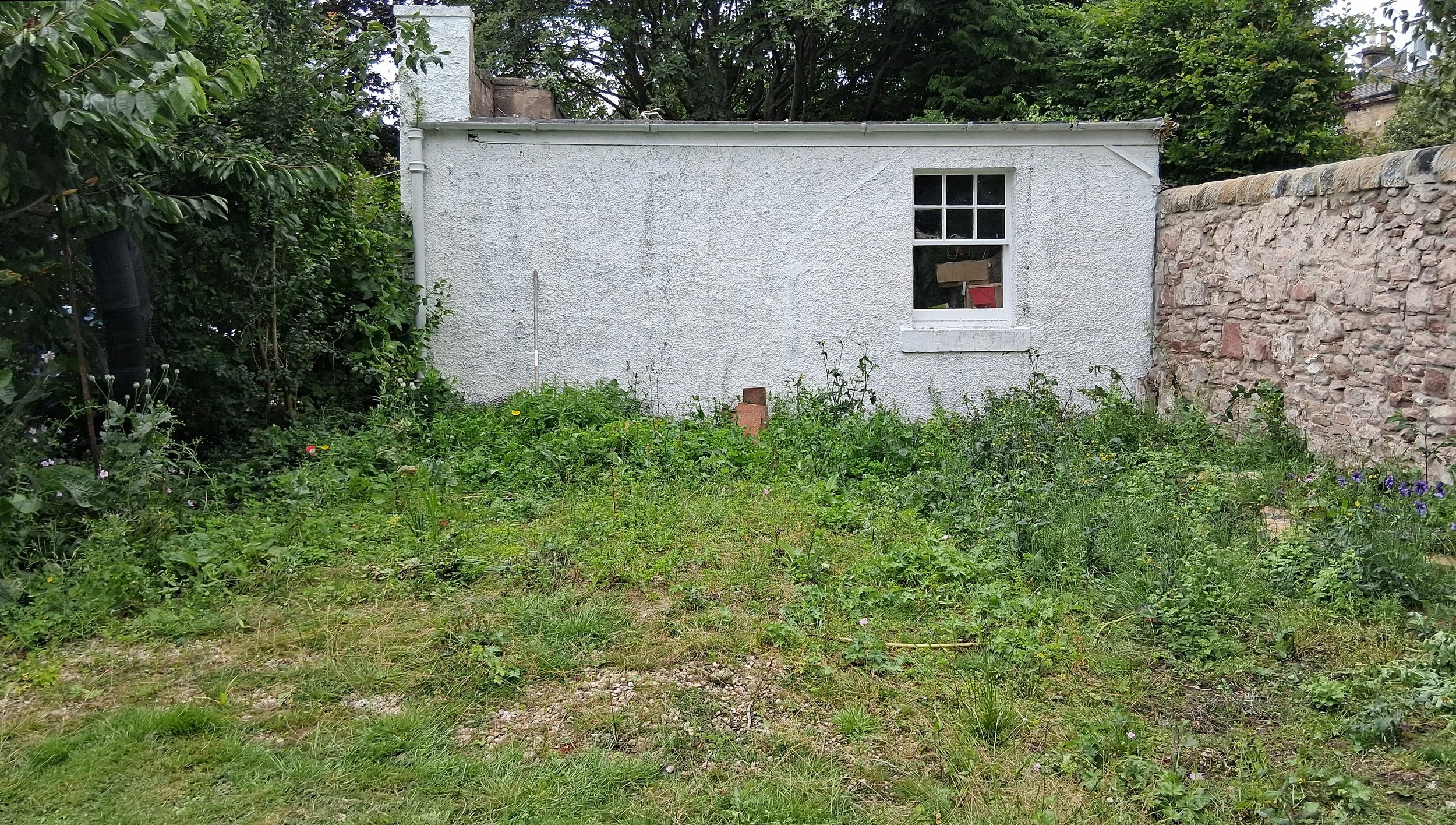the side of a garage in an unloved back garden, Edinburgh.