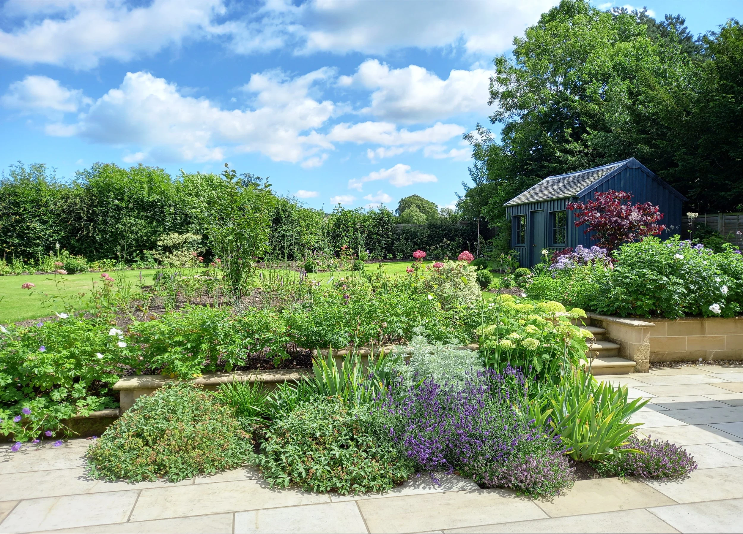 Sunny patio beds with mediterranean style planting.