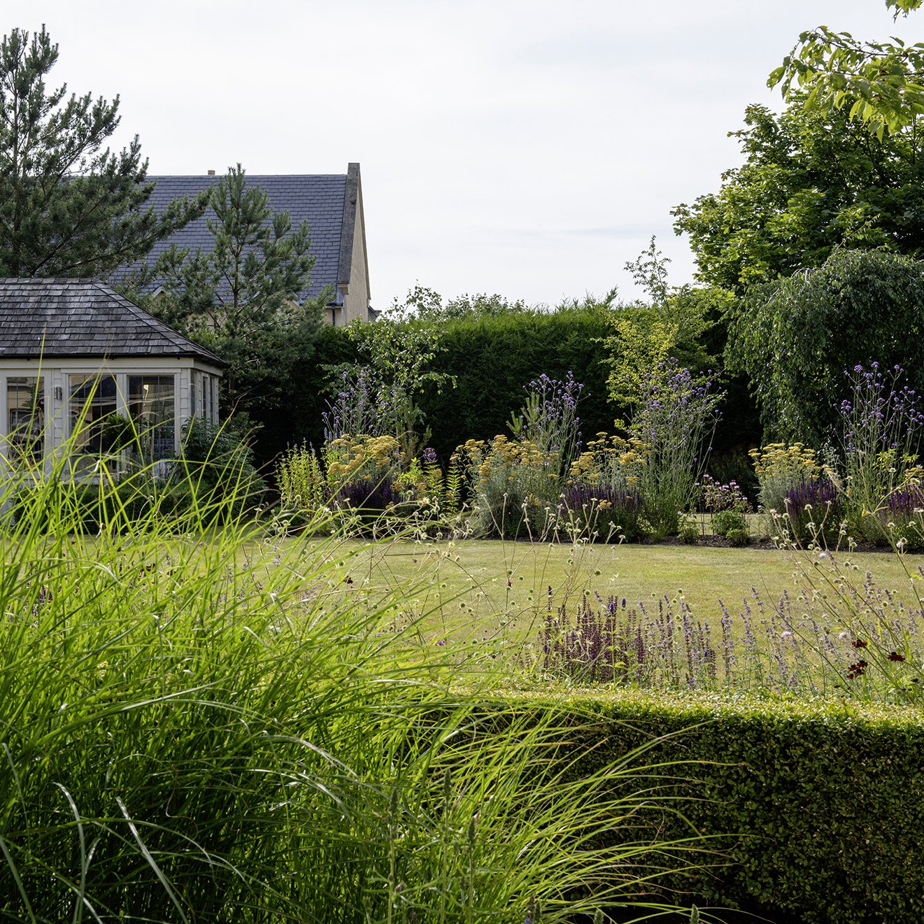 Ornamental planting for windy conditions