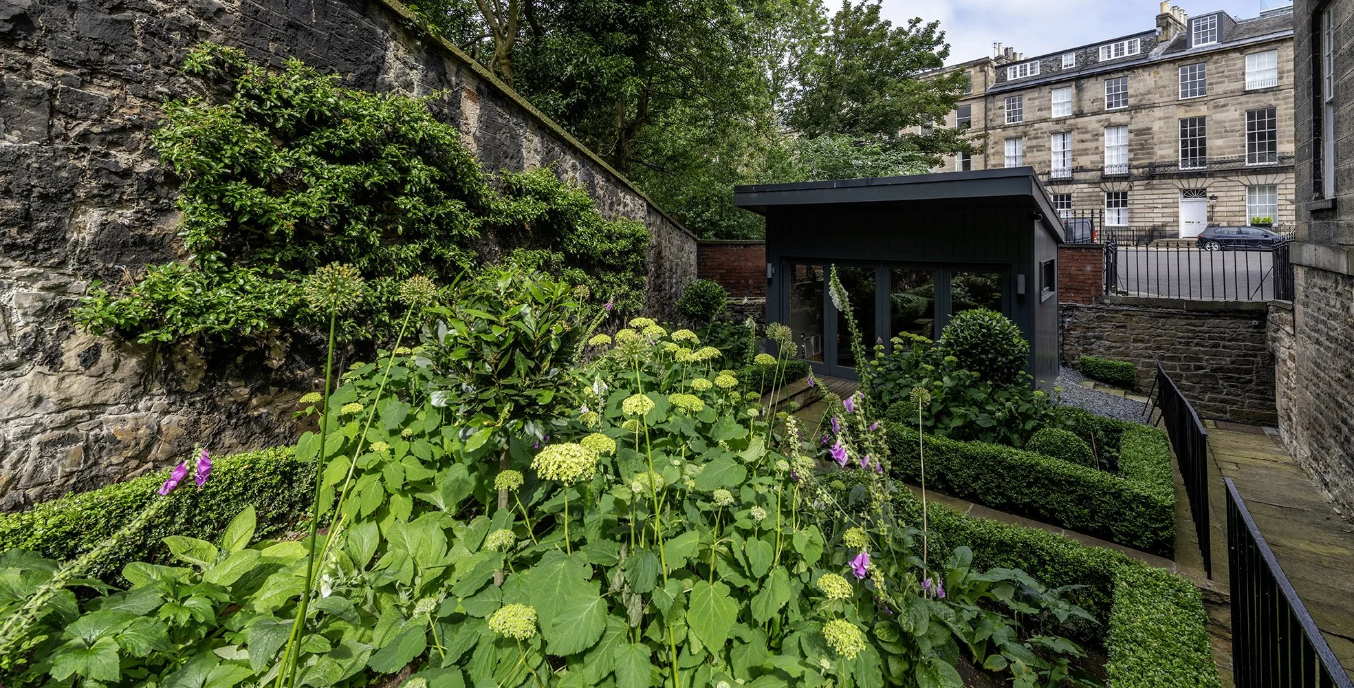 Shady parterre garden, central Edinburgh