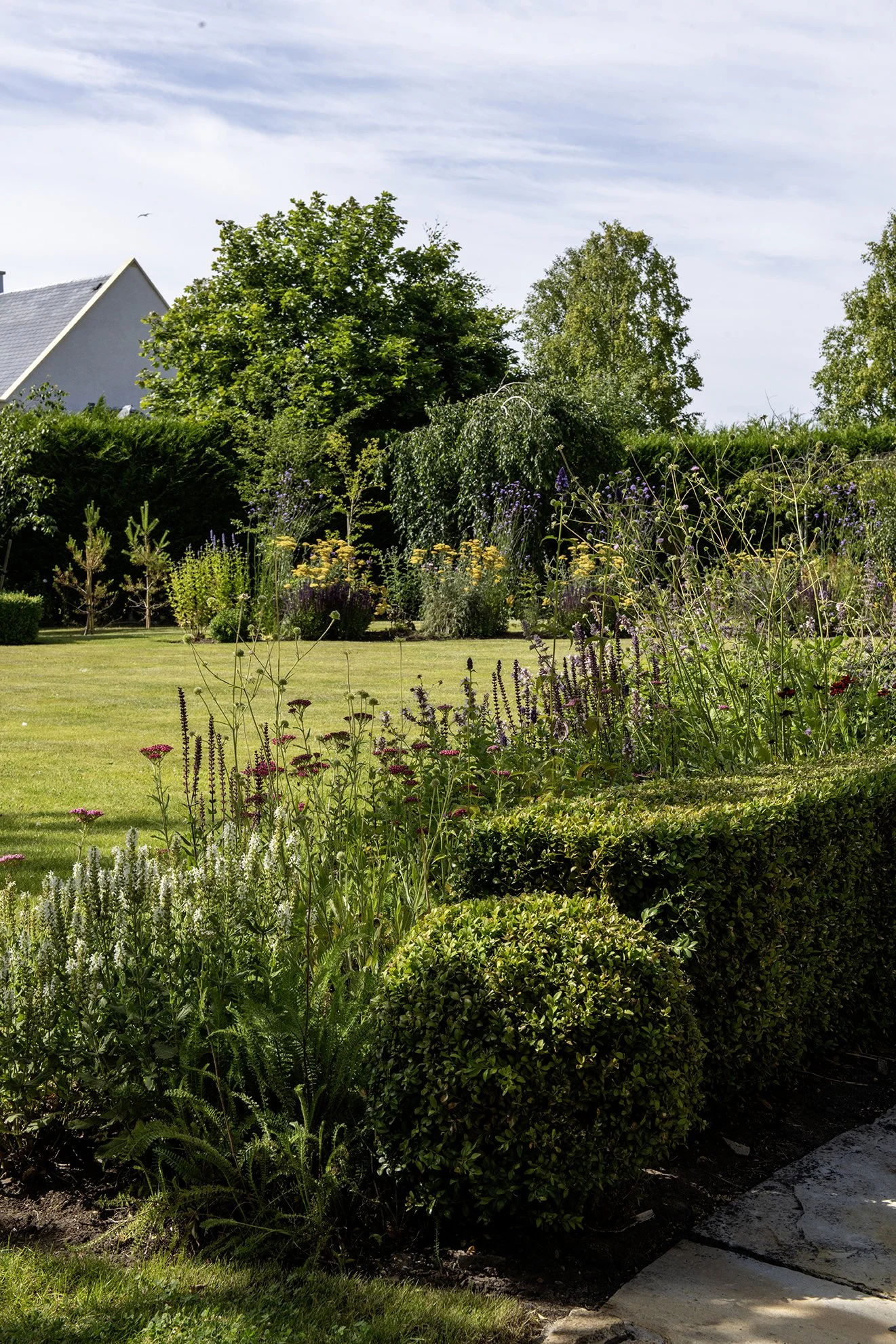 Perennial planting