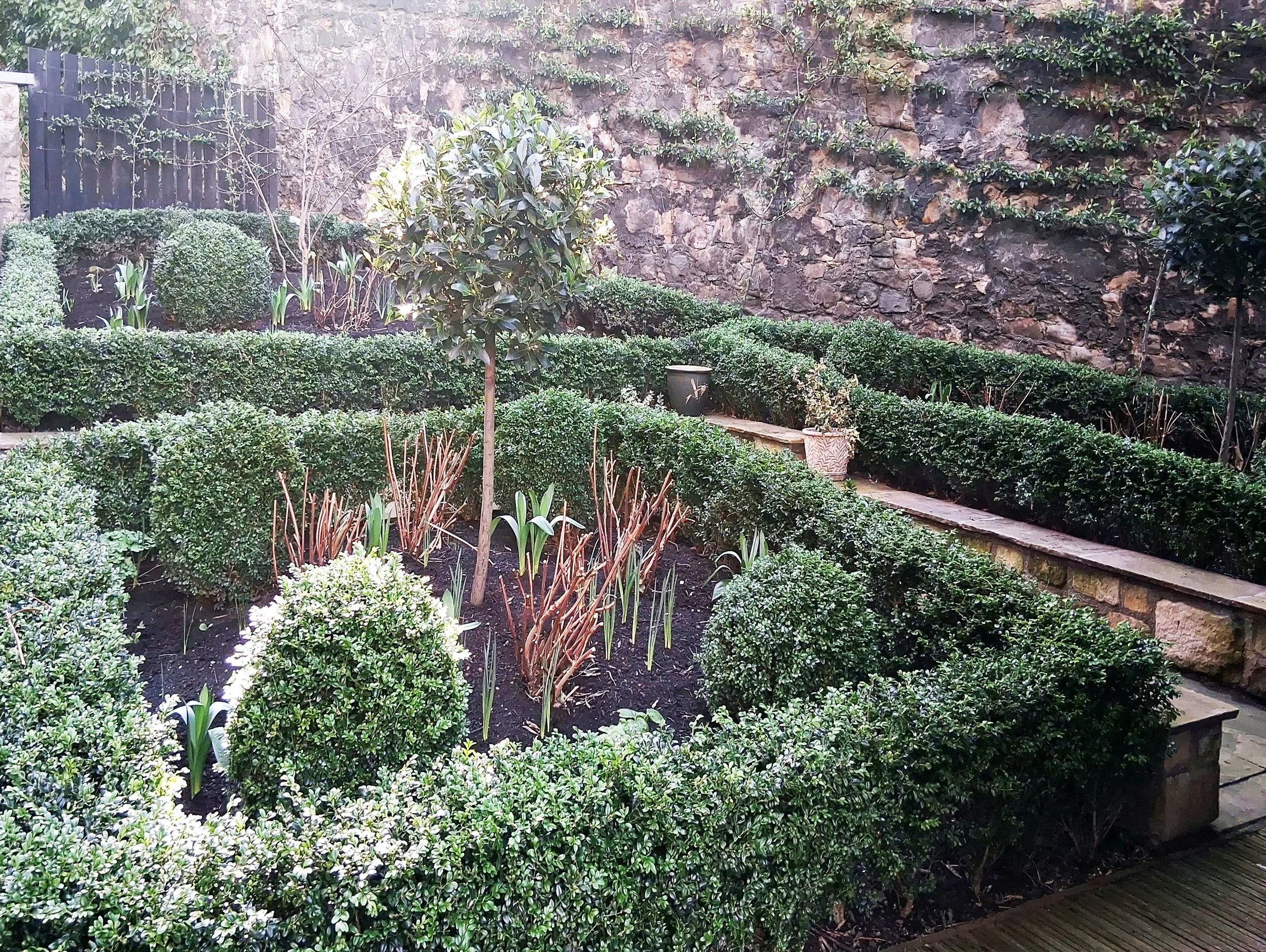 Project 4 - Edinburgh New Town Garden