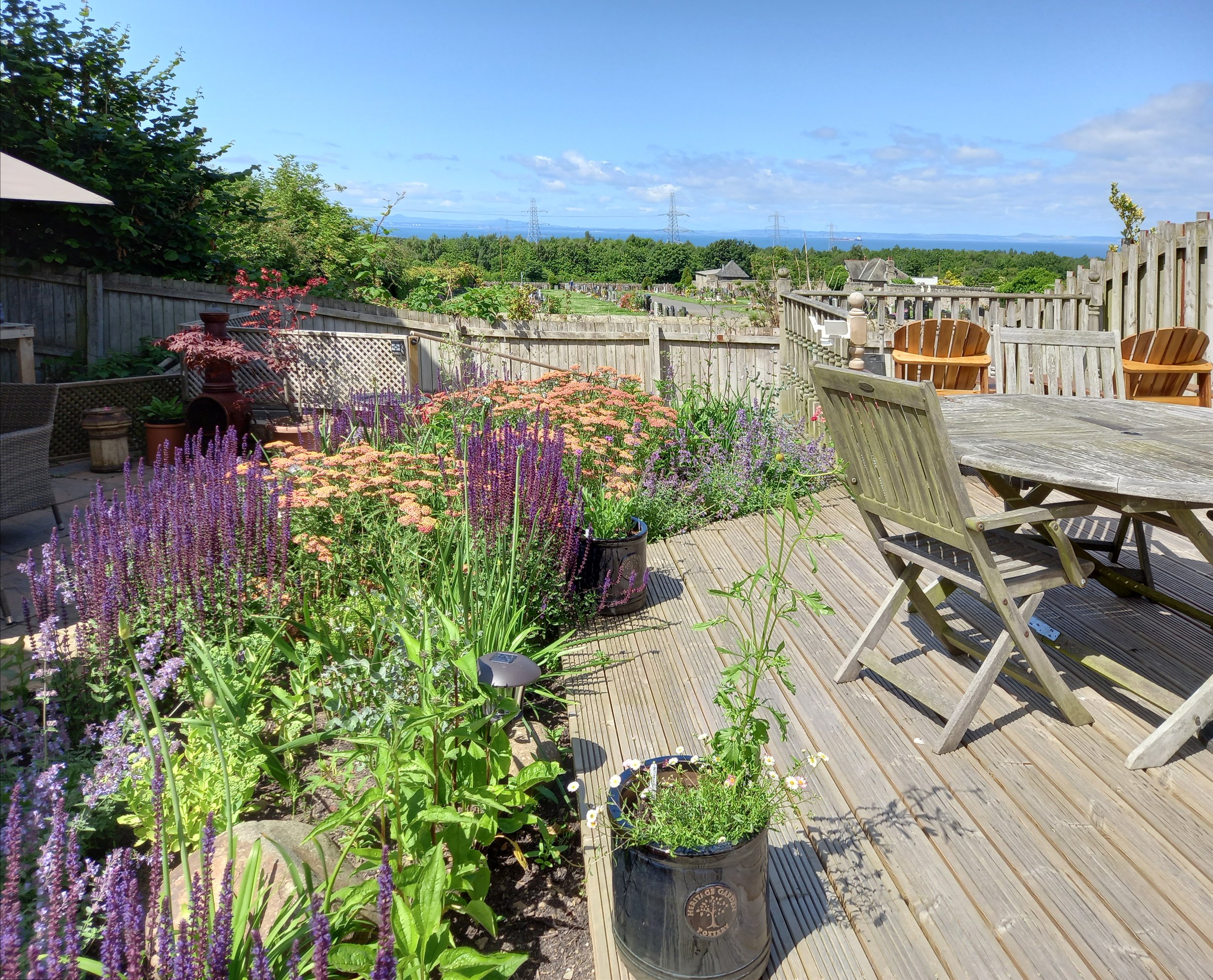 Summer planting adjacent to a wooden terrace.