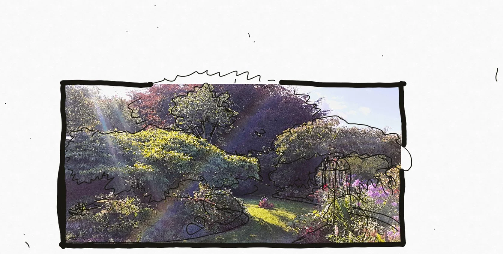 Beautiful woodland garden.