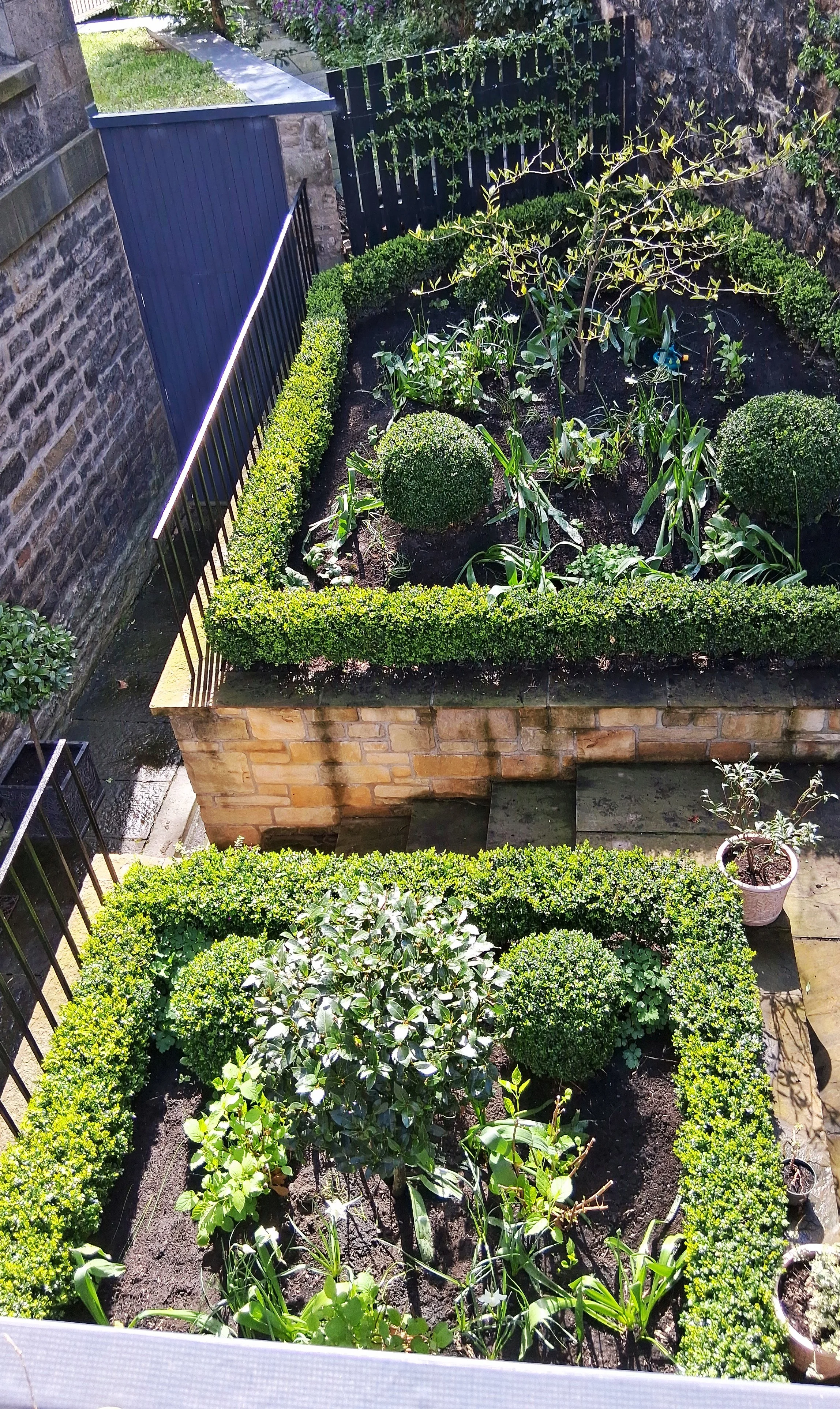 Shady parterre garden.