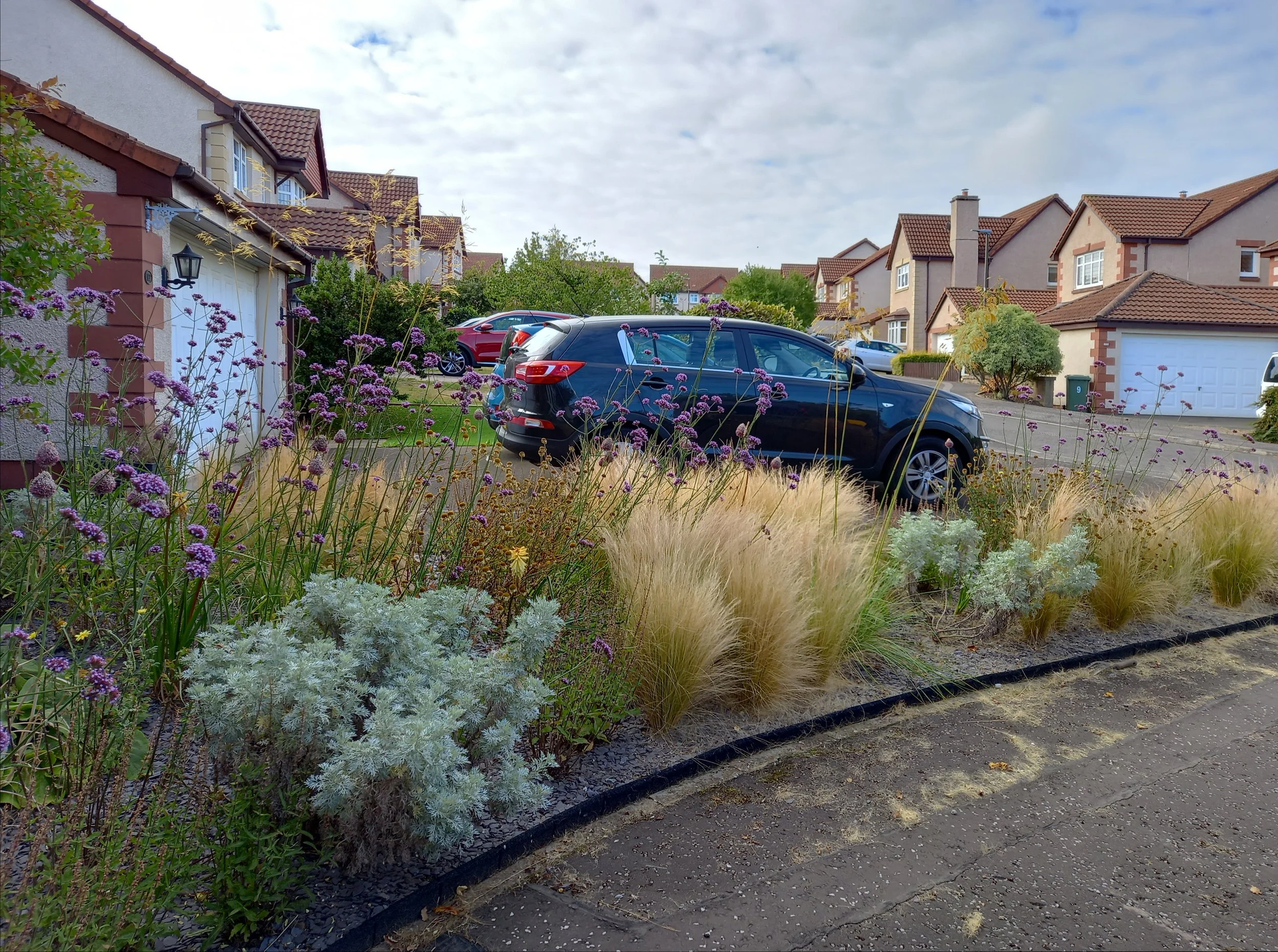 A naturalistic planting bed with lovely grasses, and silver Artemisia/