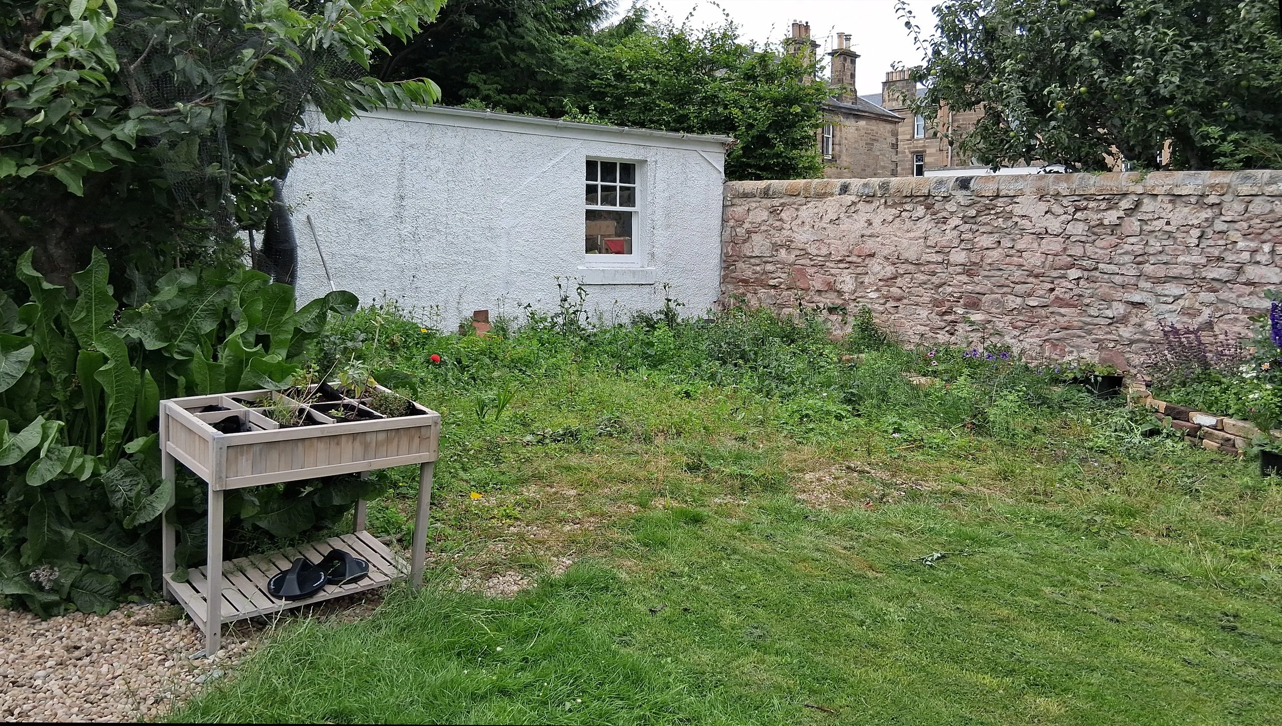 A bare, overgrown back garden.