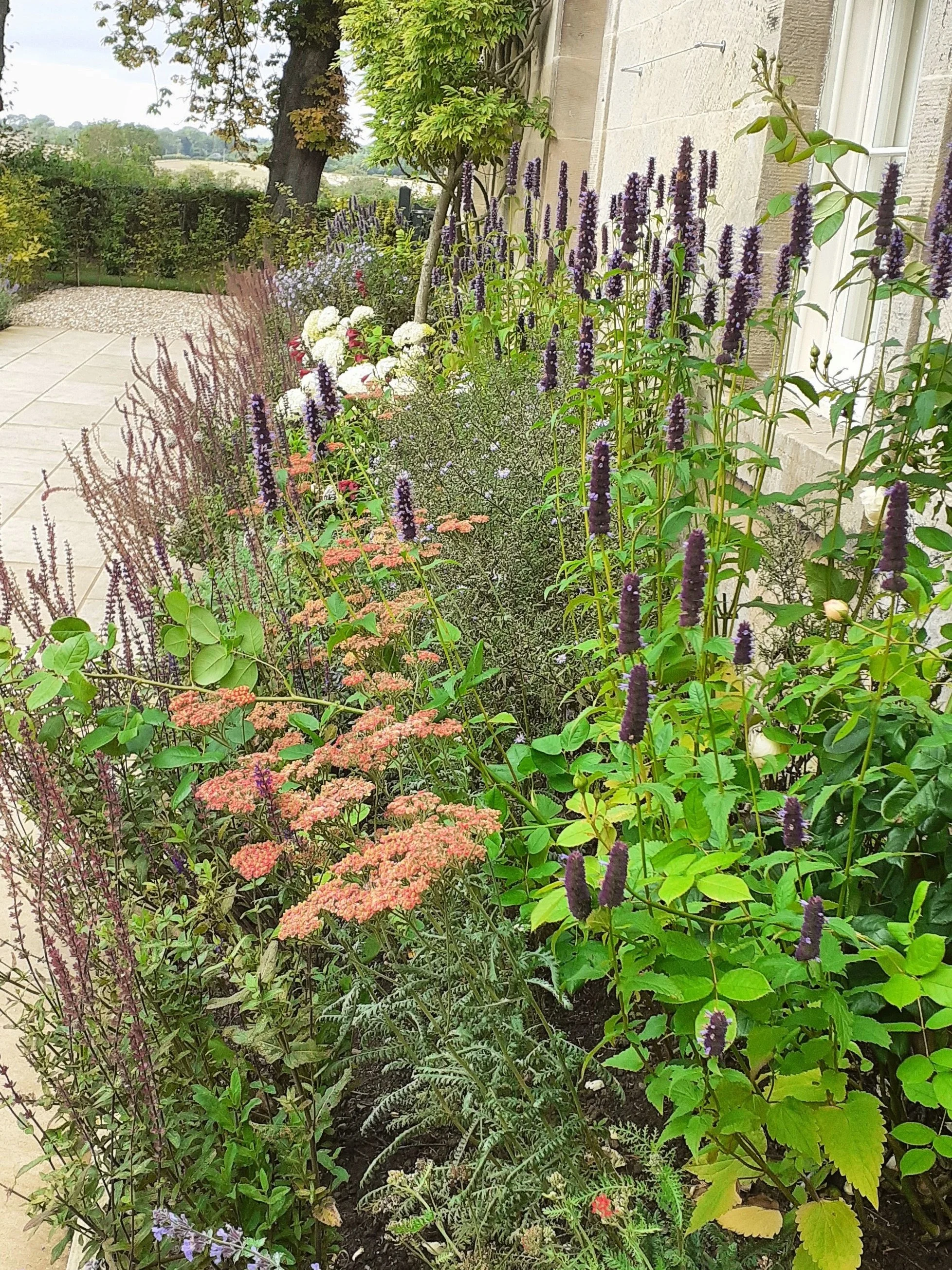 summer planting .jpg