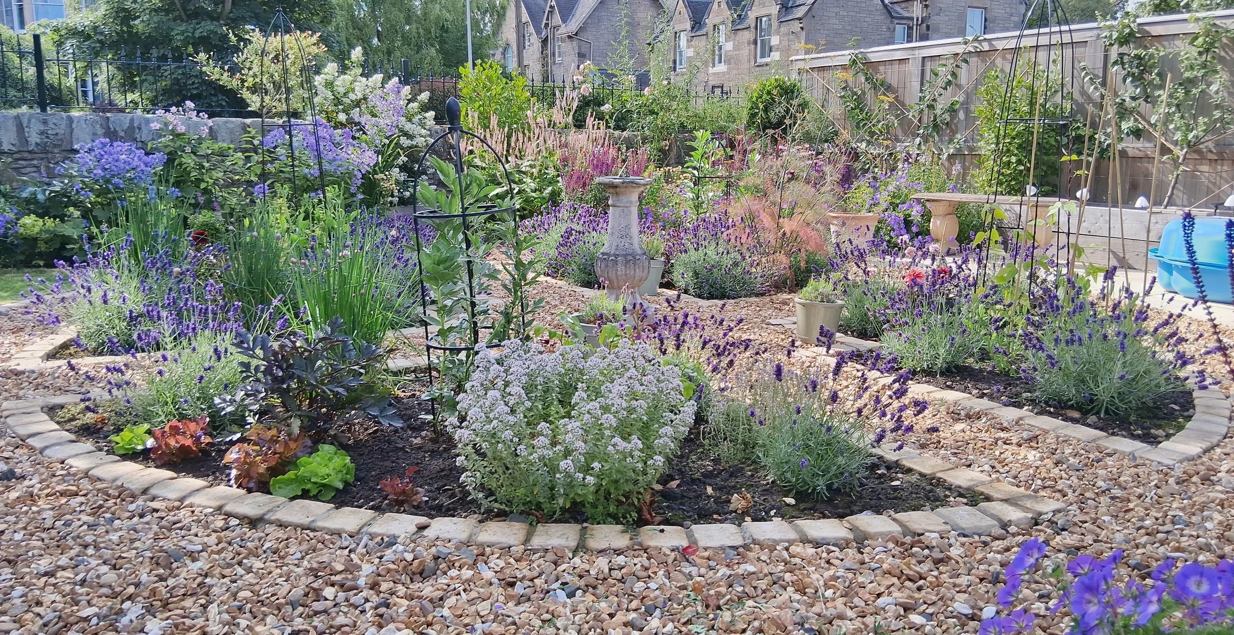 Parterre garden, beautiful coastal planting, Edinburgh East
