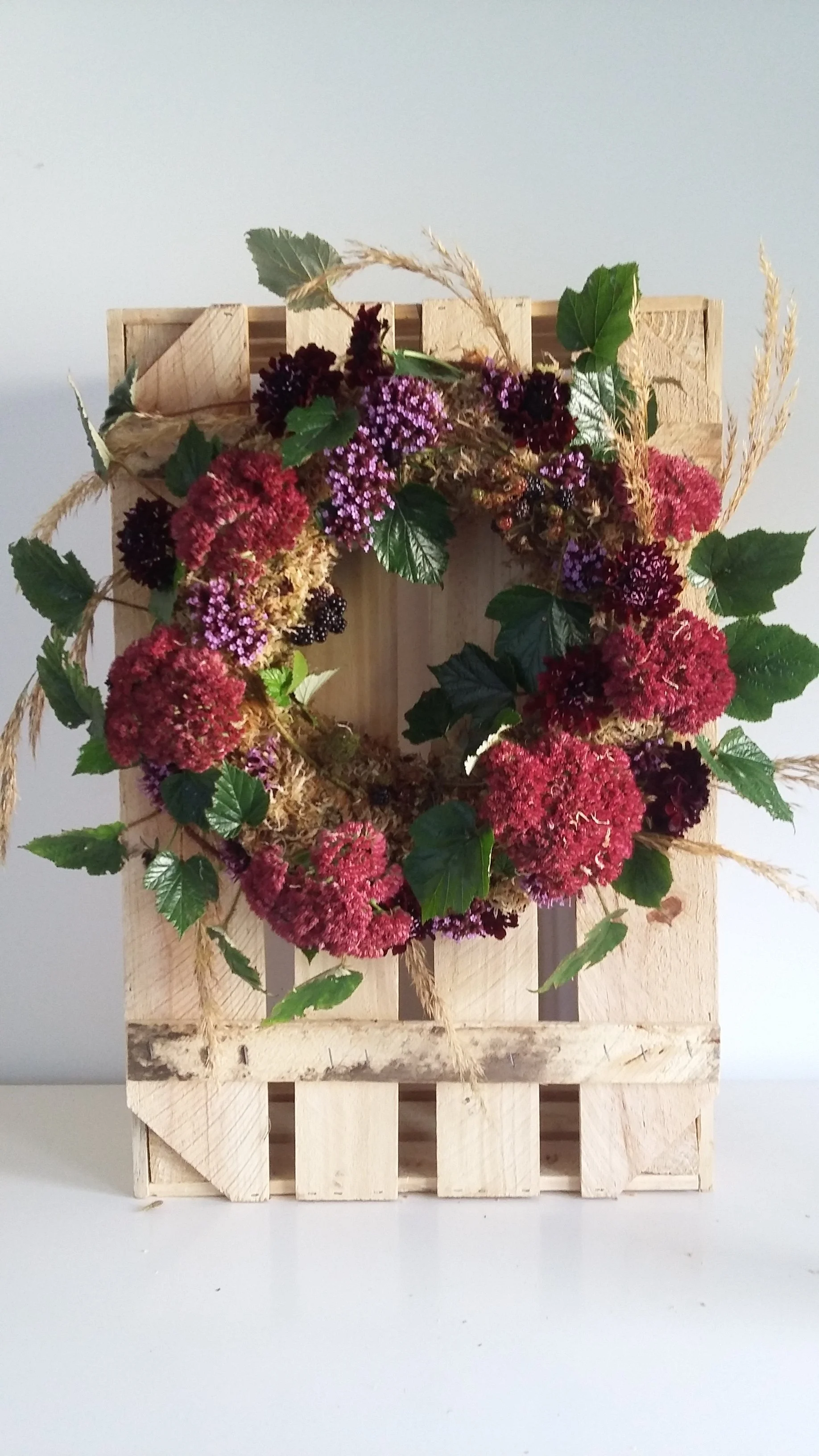 Autumnal wreath with Sedum 'Autumn Joy' in it.