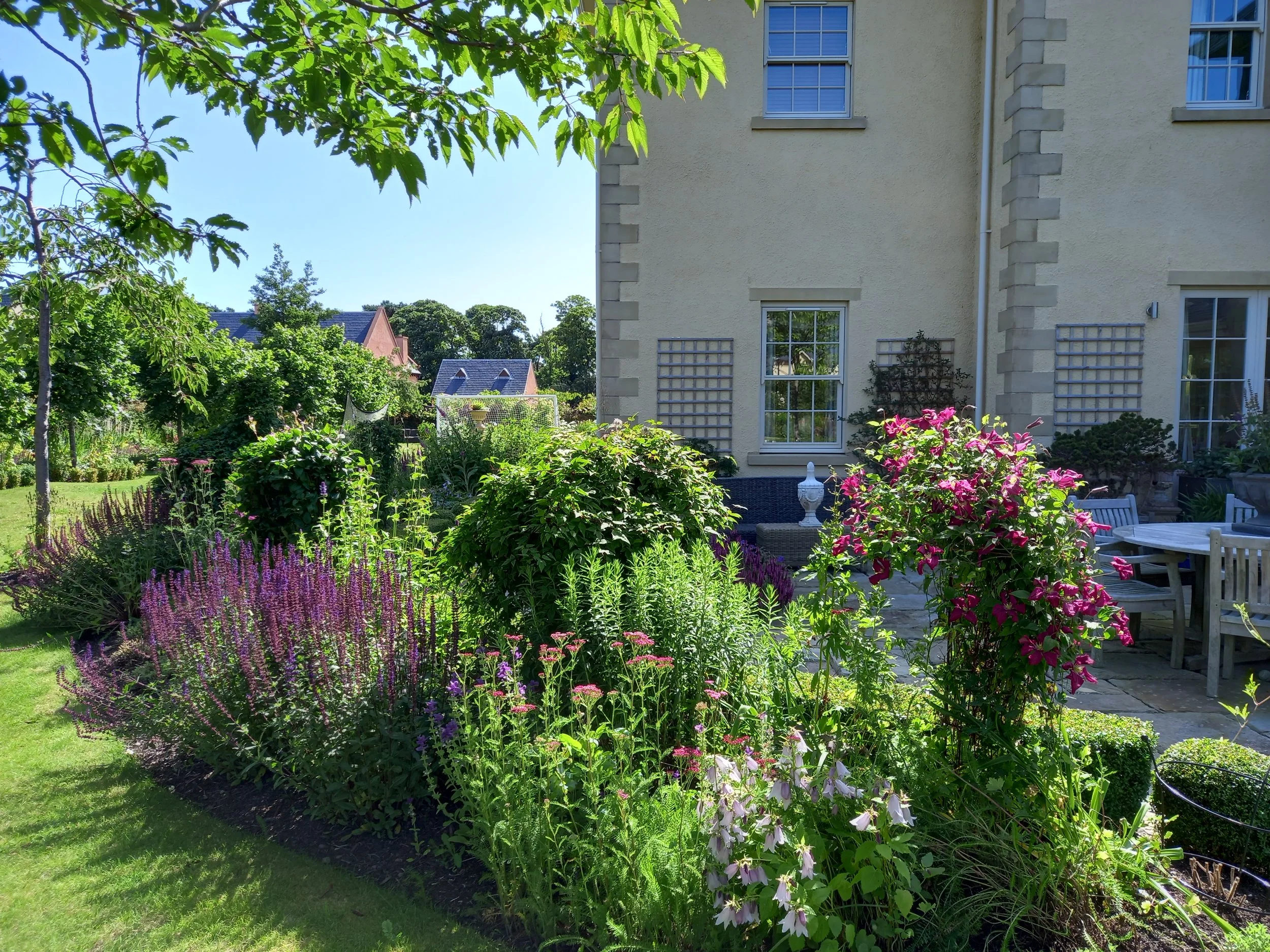 Beautiful summer border.