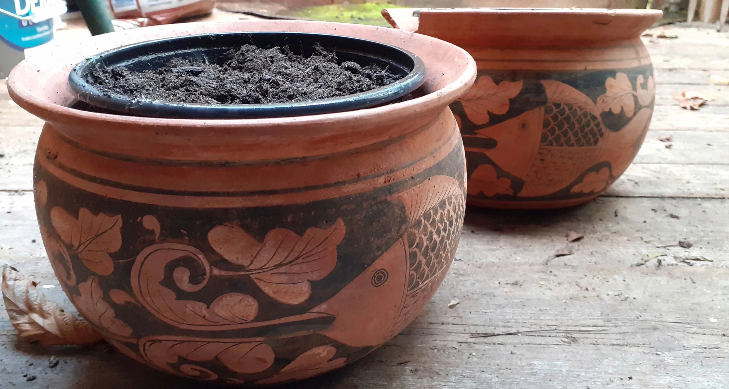 Greek urns with  pots of compost with bulbs in them