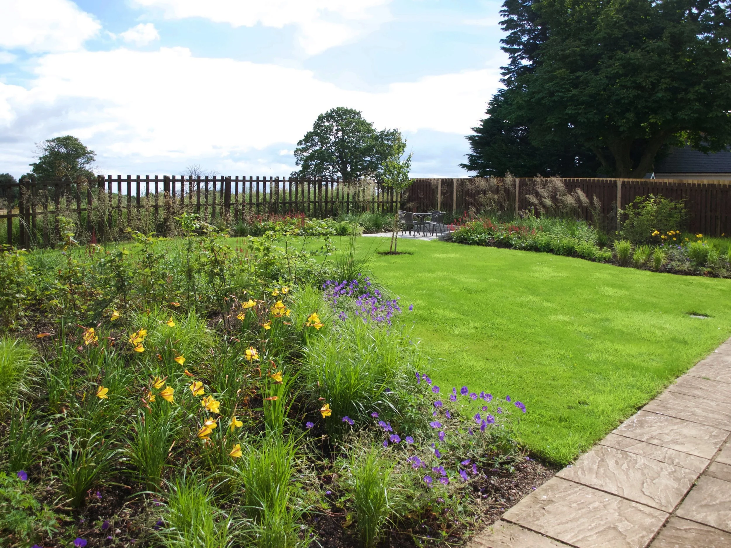 A newly planted garden with lawn and early Summer planting with Hemerocalis and a hornbeam hedge.