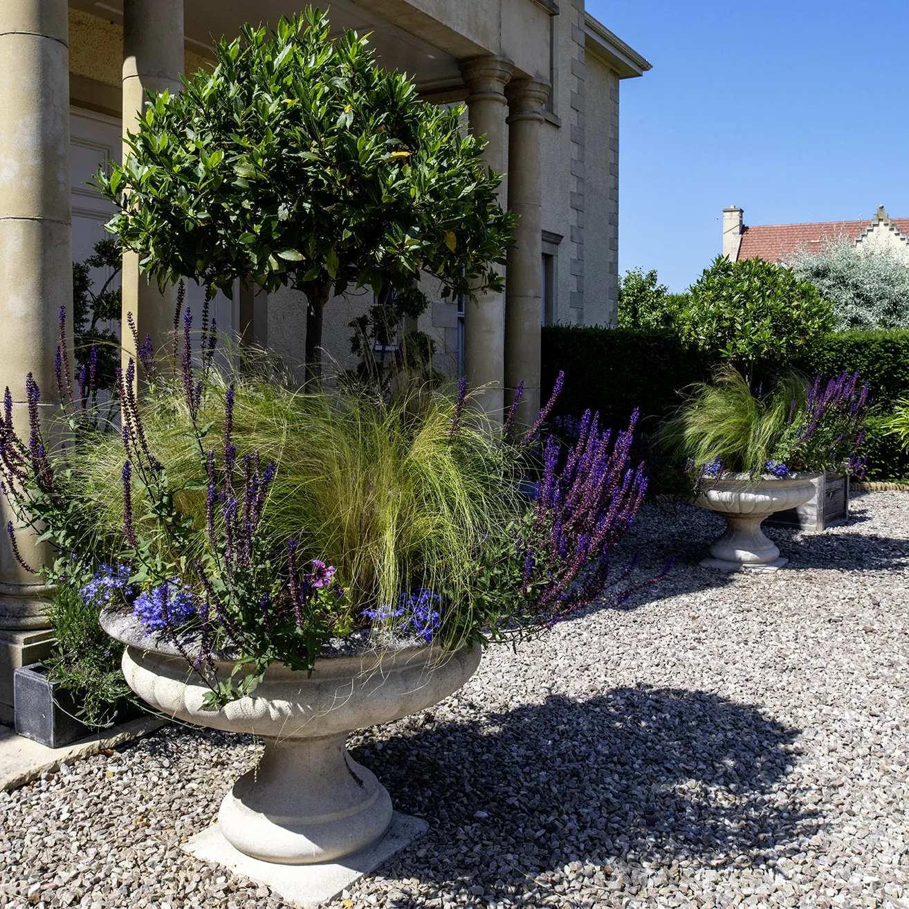 Large formal urns beautifully planted with standard bay and grasses