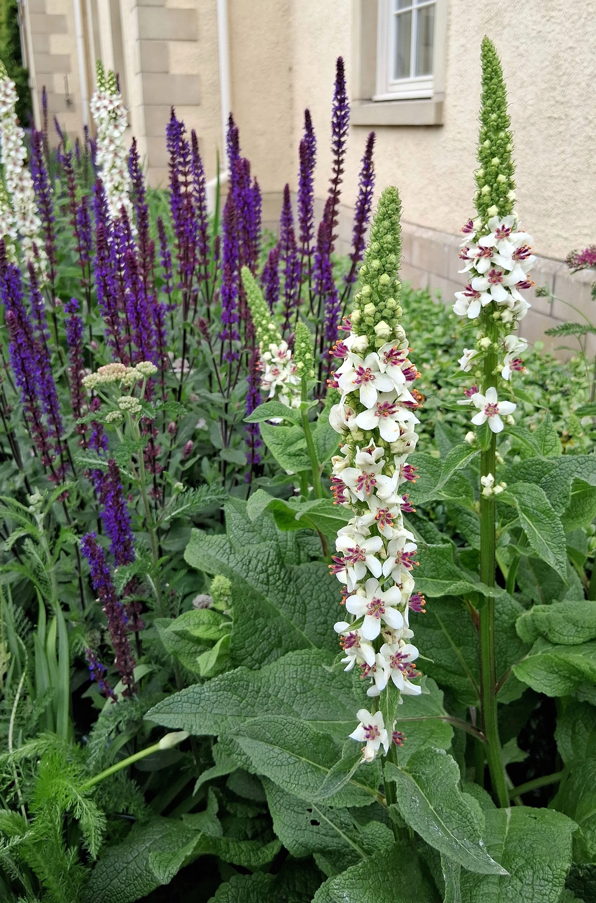 planting.jpg