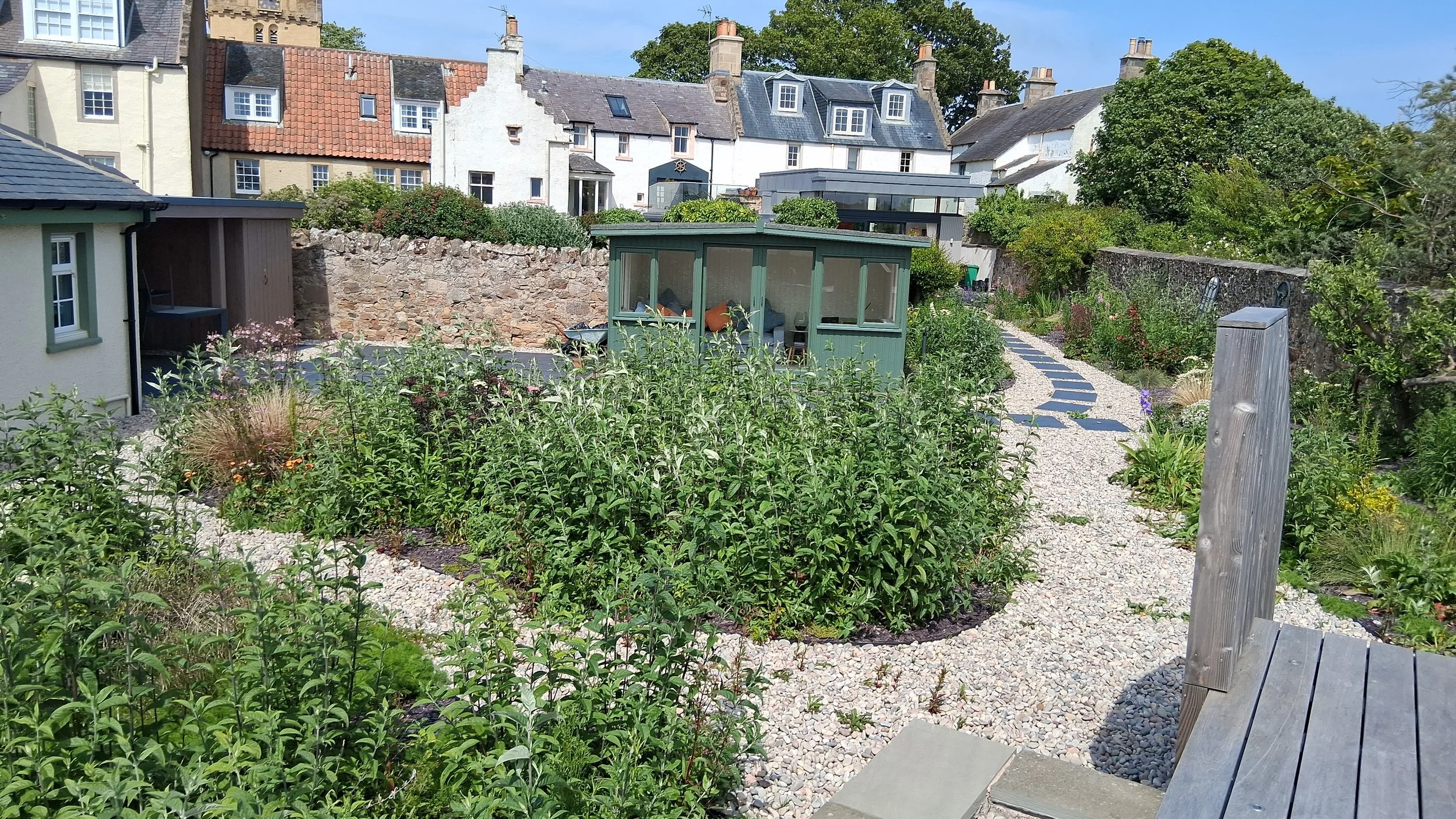 Overgrown, coastal garden, East Neuk of Fife, Scotland