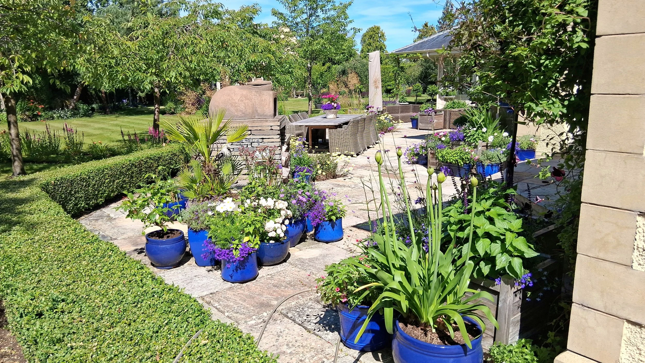 pots early summer.jpg