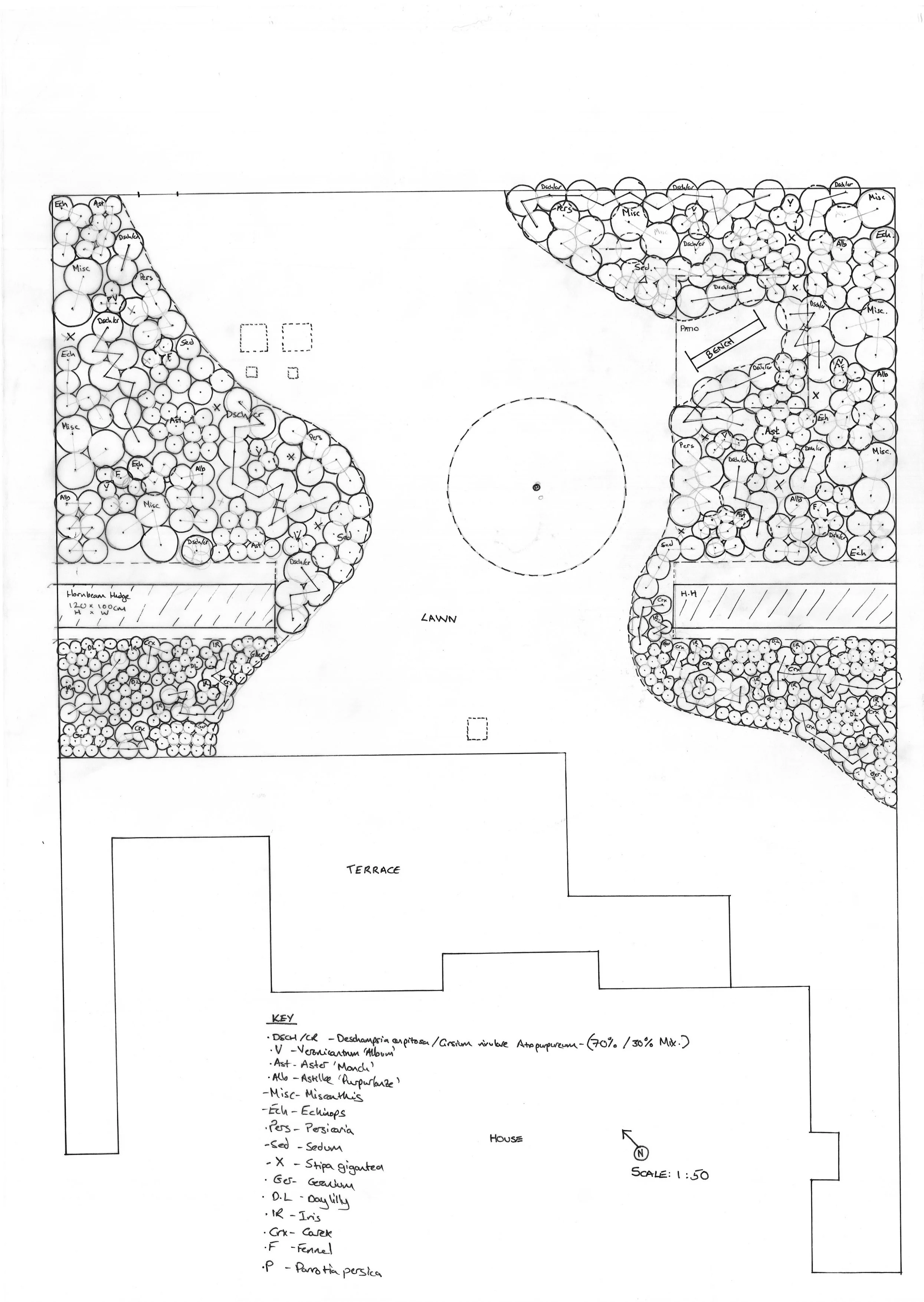 A detailed landscape design plan for a backyard, including a lawn, terrace, house, and surrounding plantings with various labeled sections.