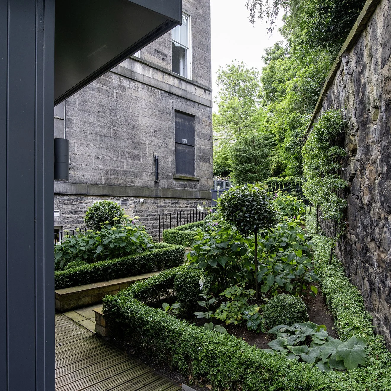 Standard Bay trees in a formal garden, Edinburgh and Lothians