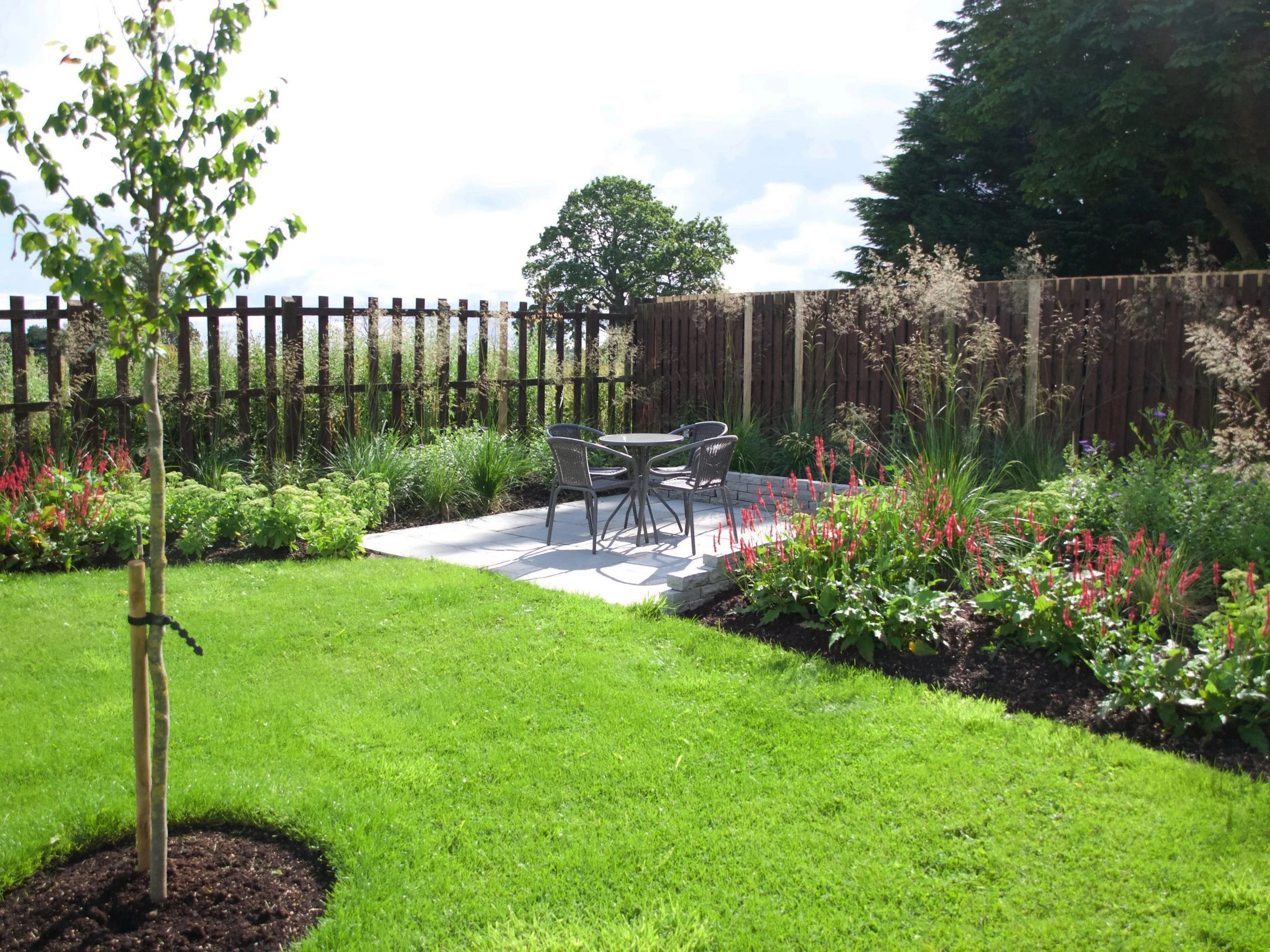 A newly planted garden with a tree, lawn and patio surrounded by planting beds.
