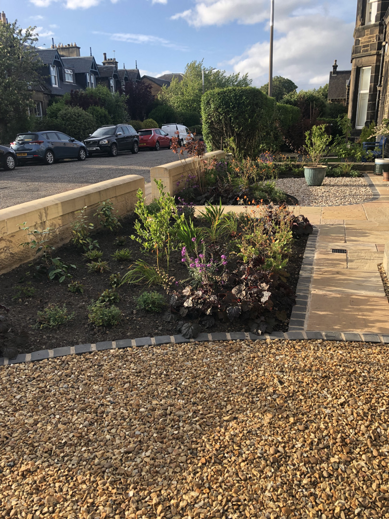 Plants set out on beds waiting to be planted.