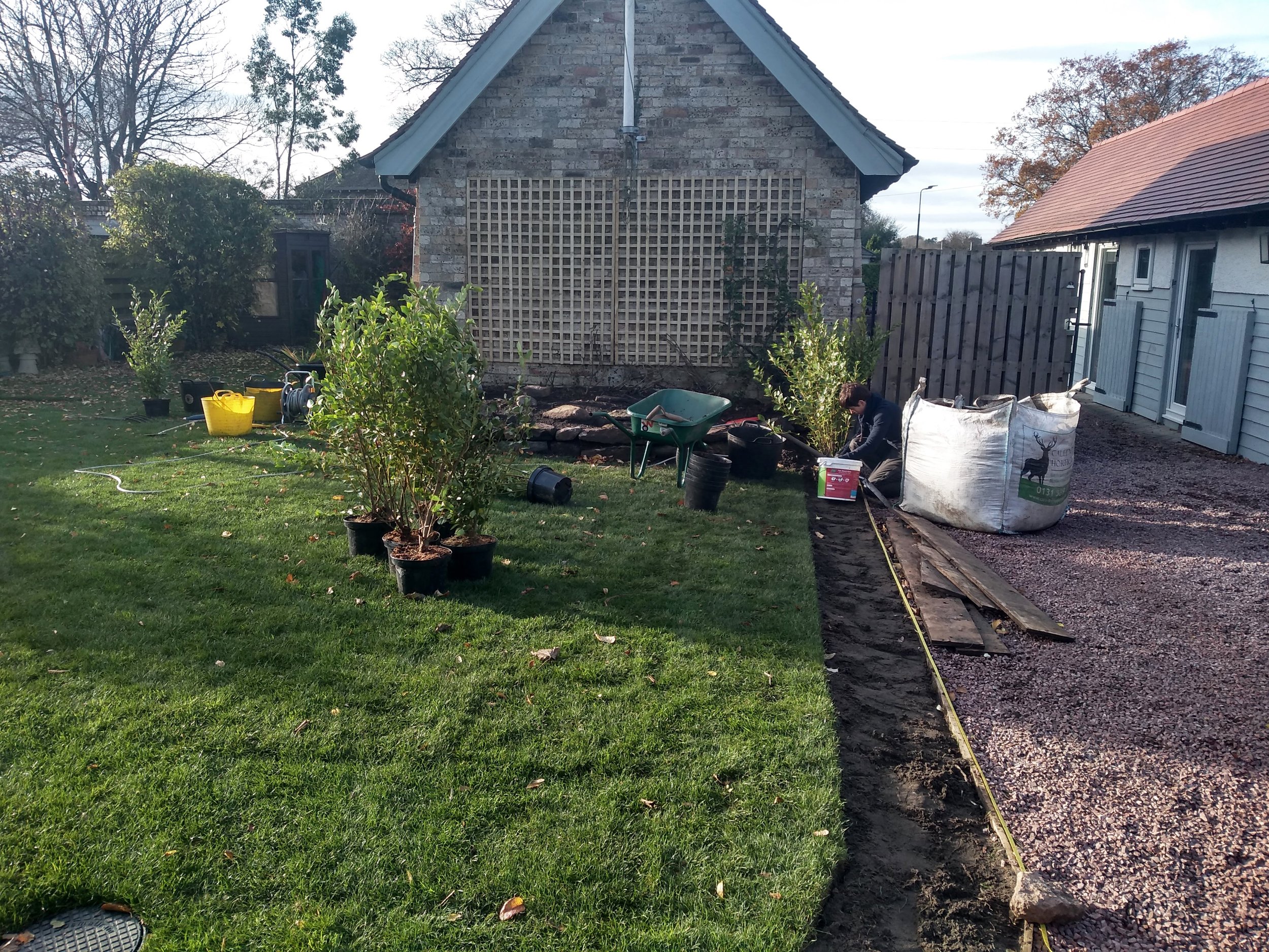 A garden being built. Hedging plants sitting on grass waiting to be planted.