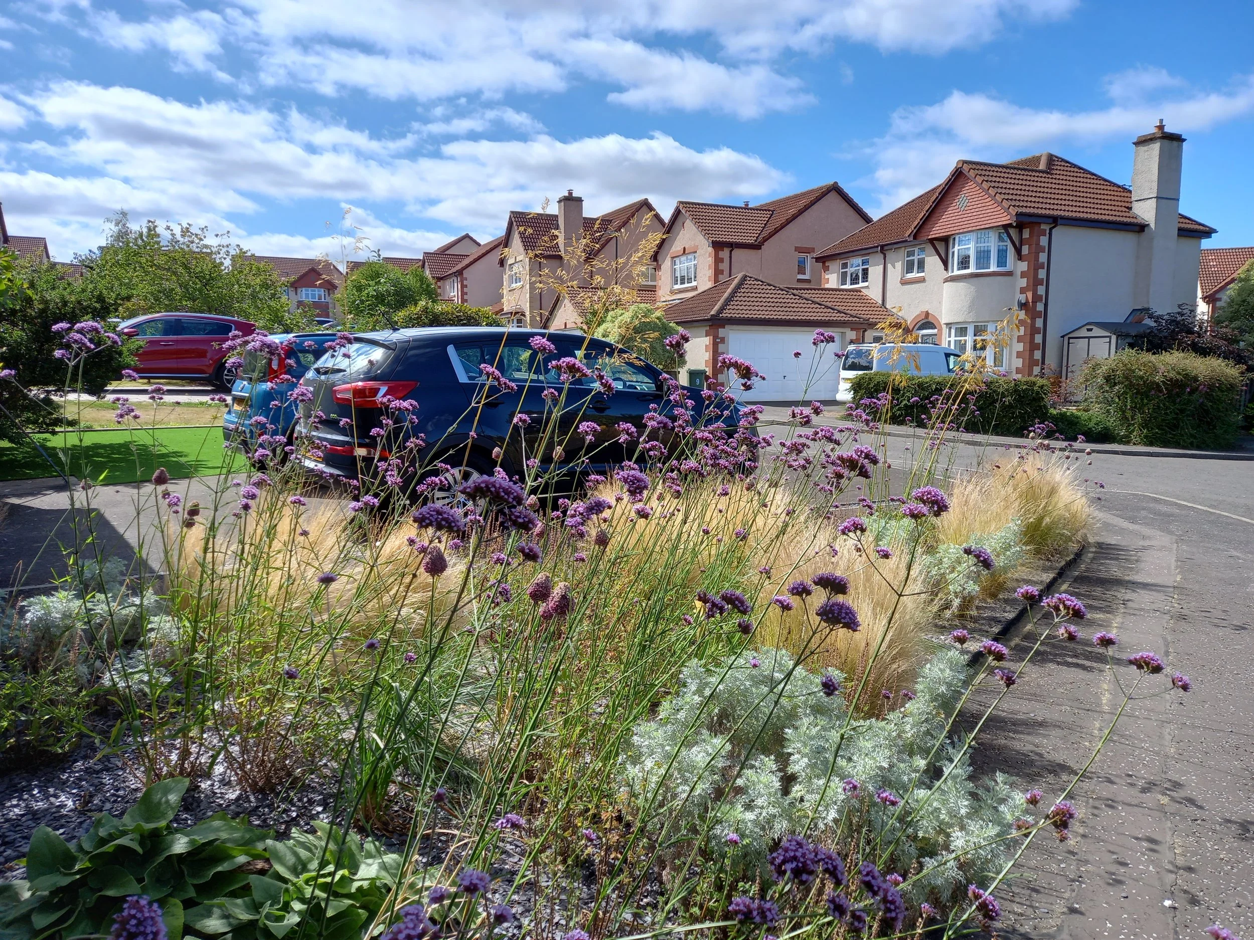 Naturalistic grasses and perennials.