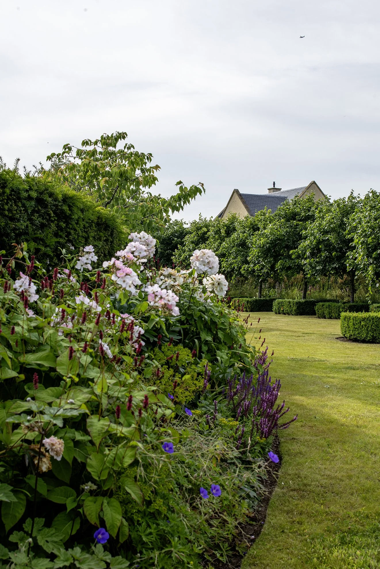 Romantic planting in beautiful borders.