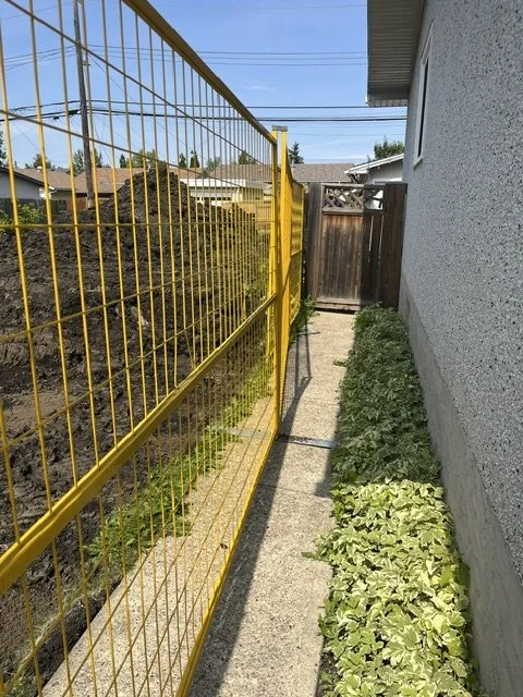 image1.jpeg