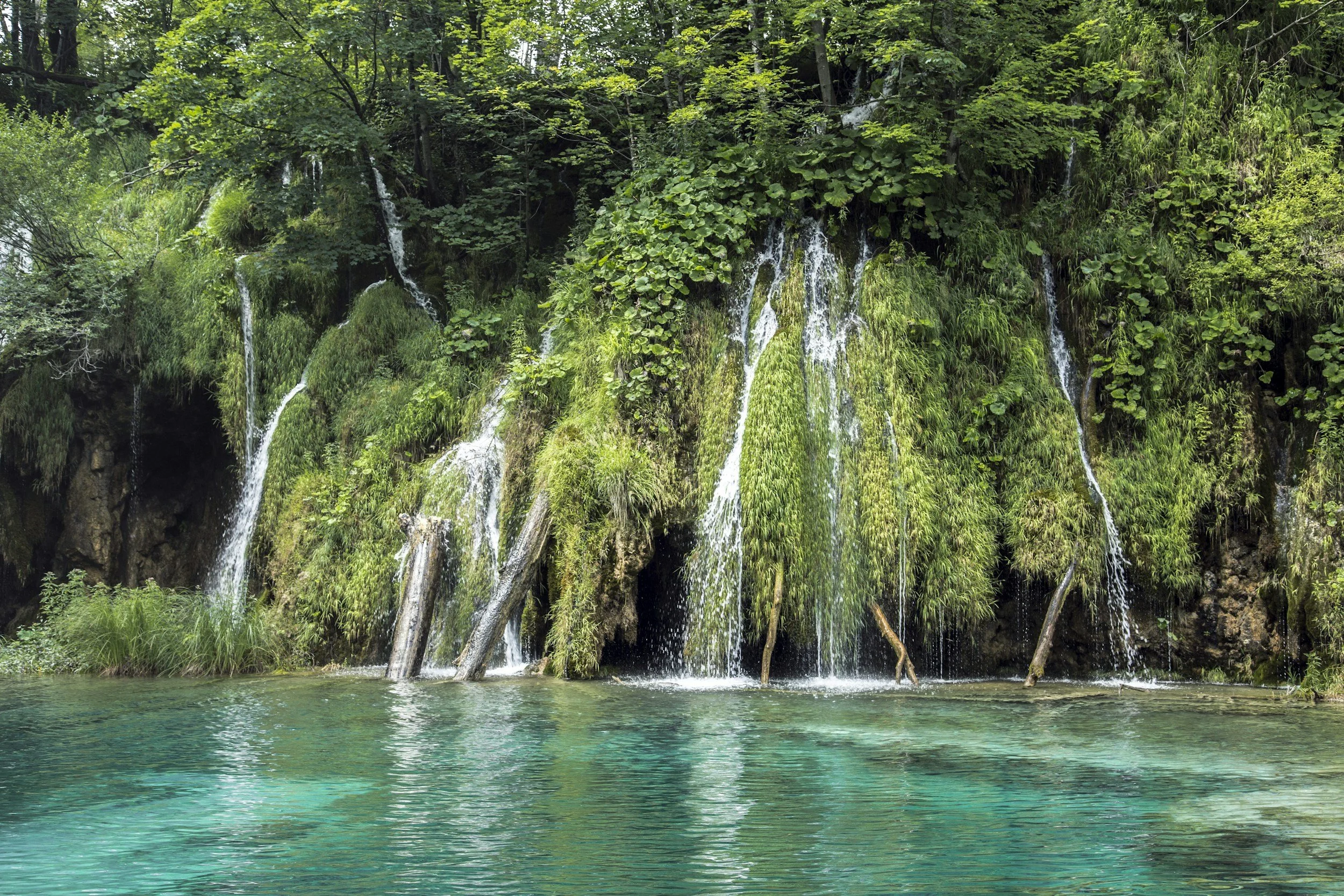 A waterfall flowing over rocks and moss into a turquoise pool surrounded by lush green trees.