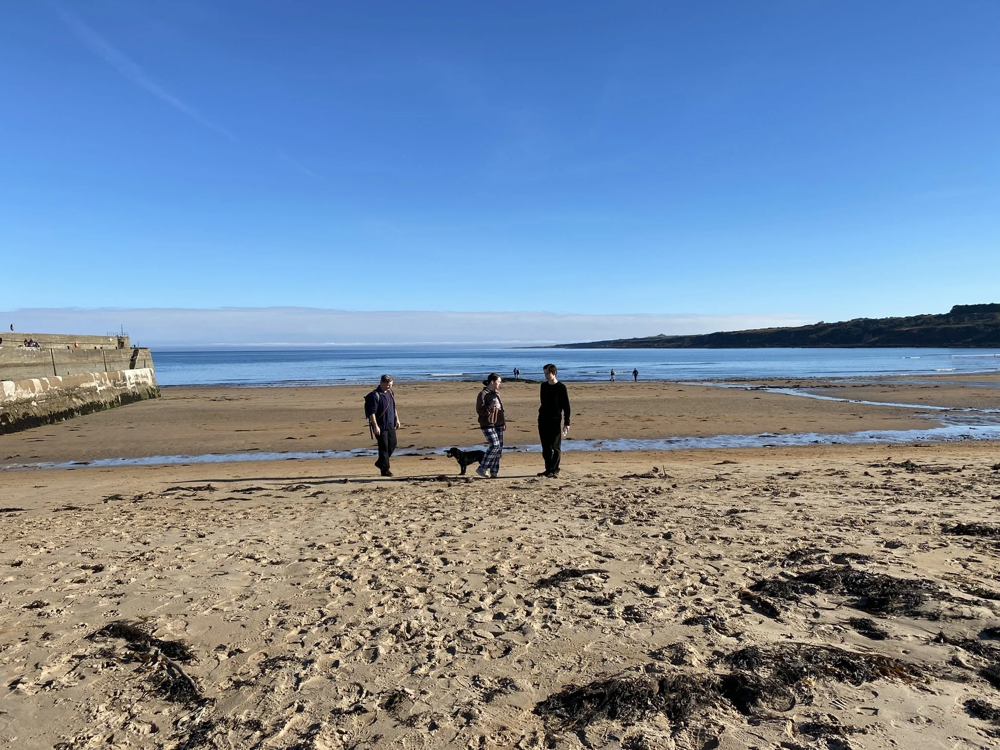 Three people walking along a sandy beach near the water, with a dog, under a blue sky. In the background, other people are near the shore, and a concrete pier extends into the water on the left side of the image.