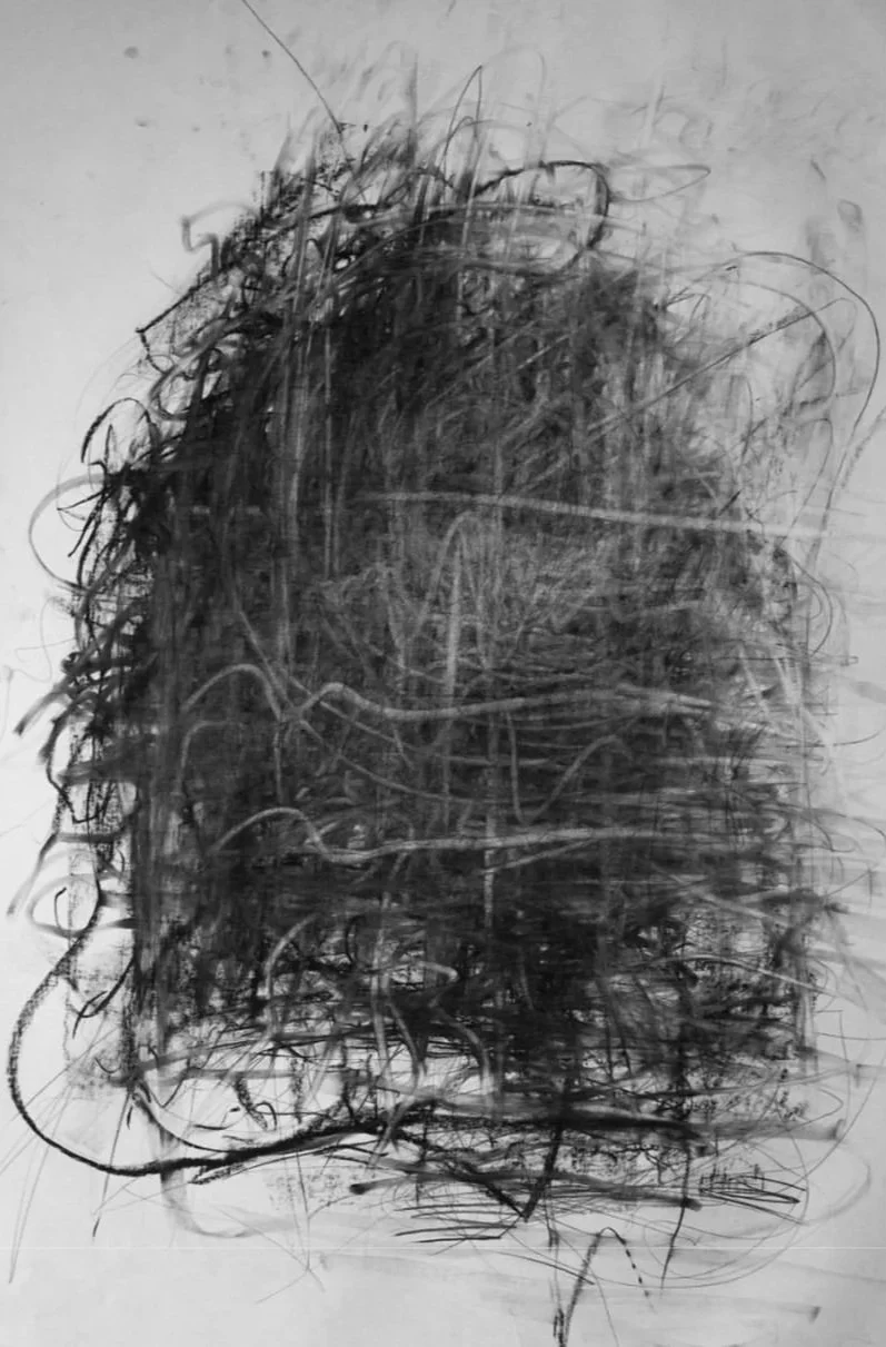 %23abstract+%23drawing+%23pencil+%23charcoal+%23blackandwhite+%23expressive+%23visualsound+%23techno.jpg