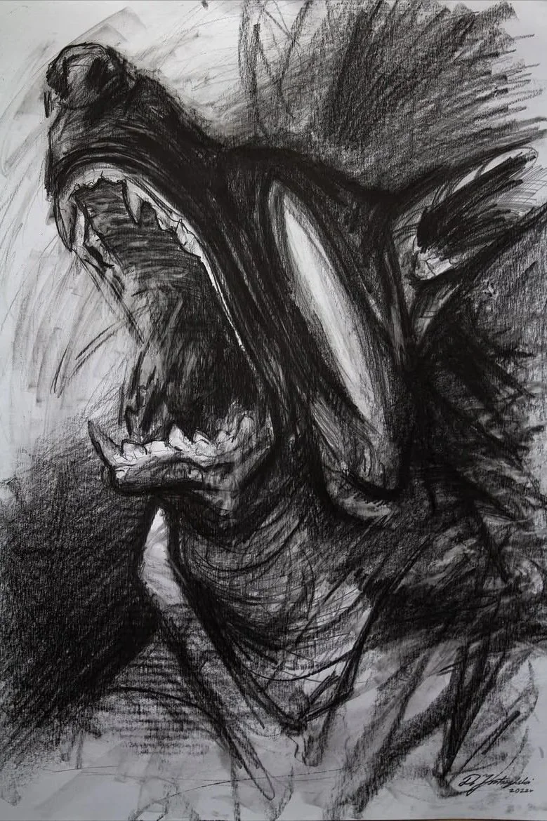 Dog | graphite drawing