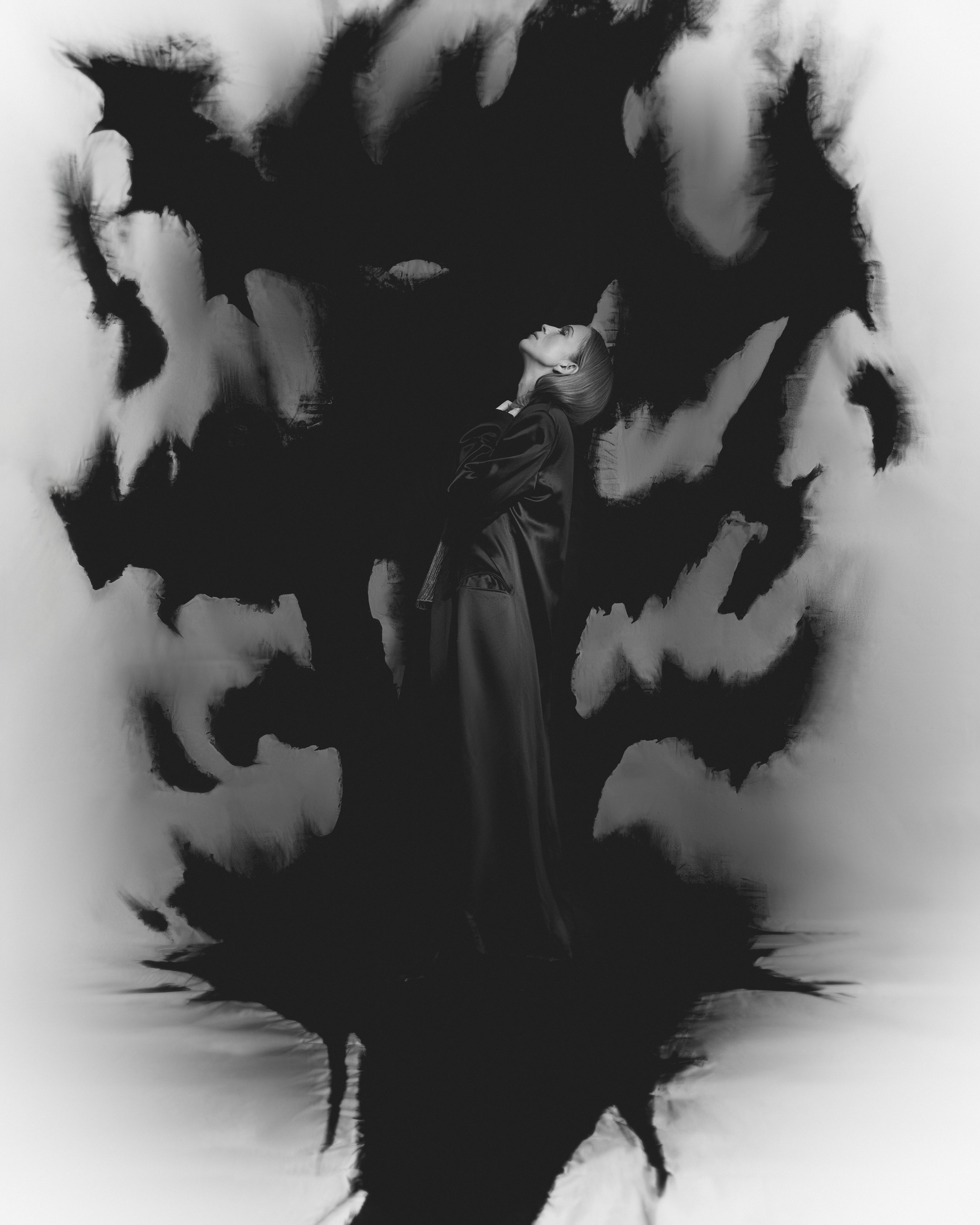 Mary Komasa- The Void .jpg