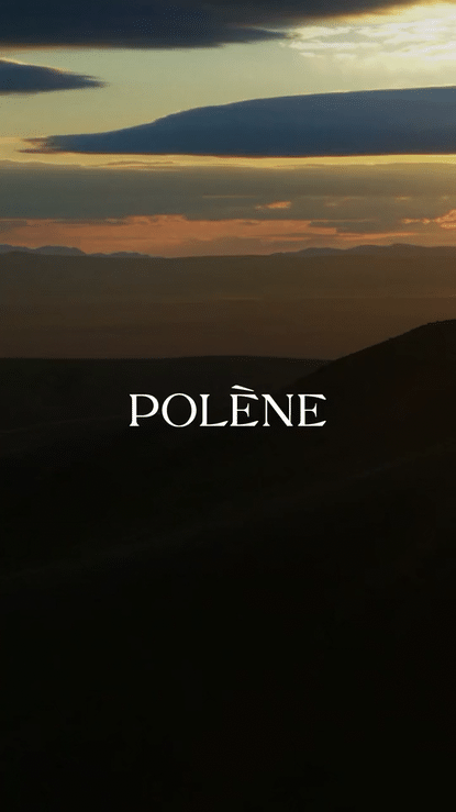 POLENE BY HAIR STYLIST EMIL ZED _ VDA-high.gif
