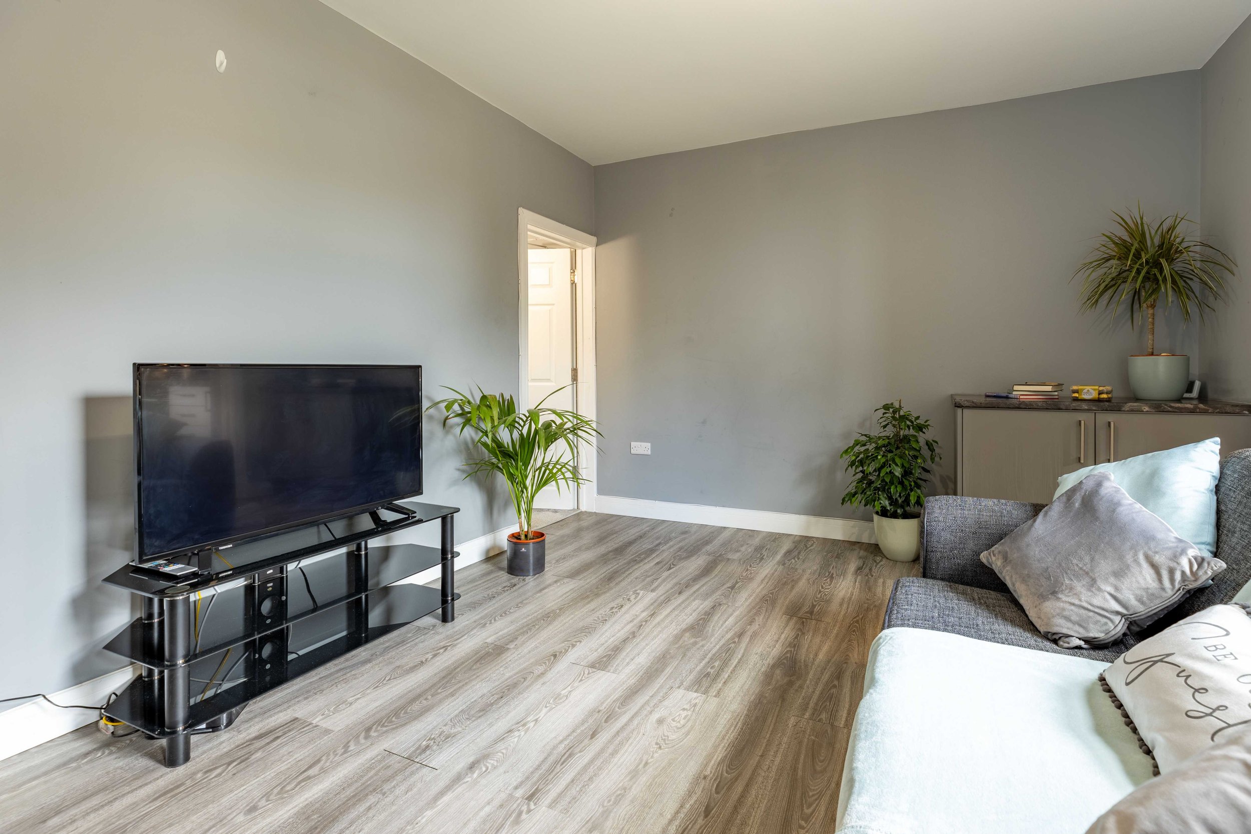 Minimalist living room with gray walls, wood flooring, a gray couch with pillows, flat-screen TV on a black stand, potted plants, and a cabinet.