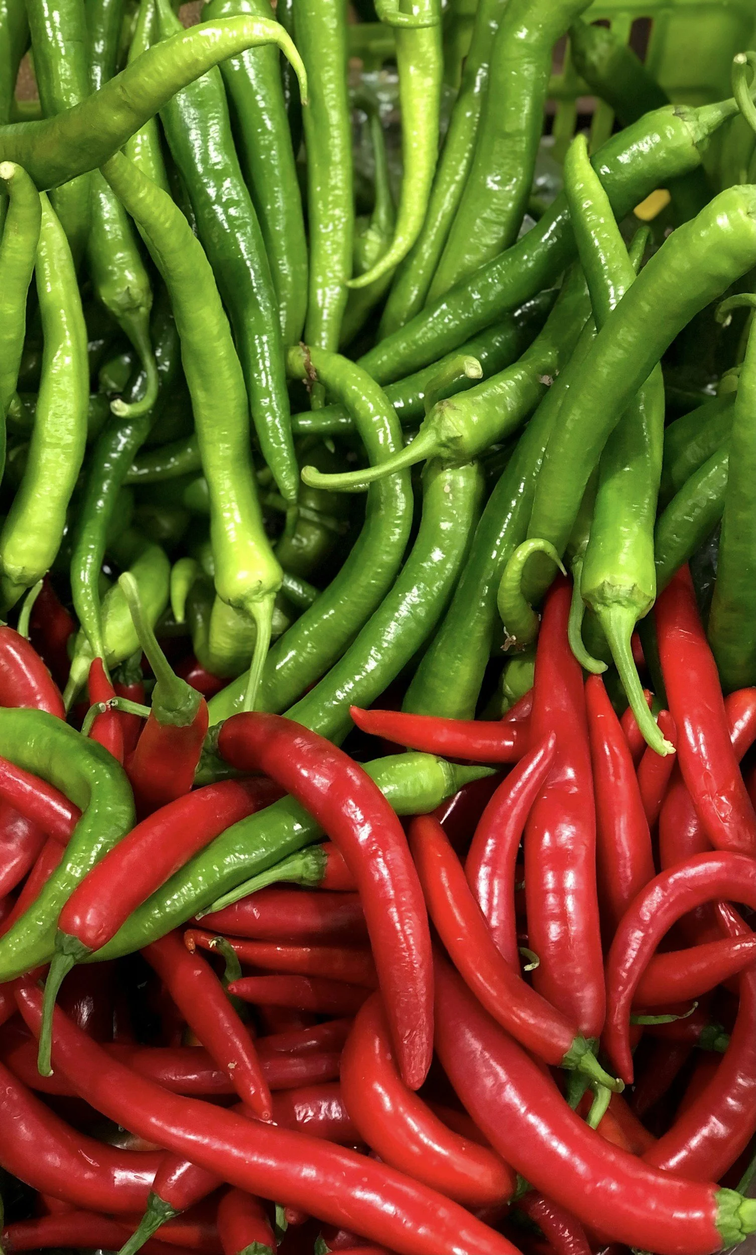 A pile of green and red chili peppers.