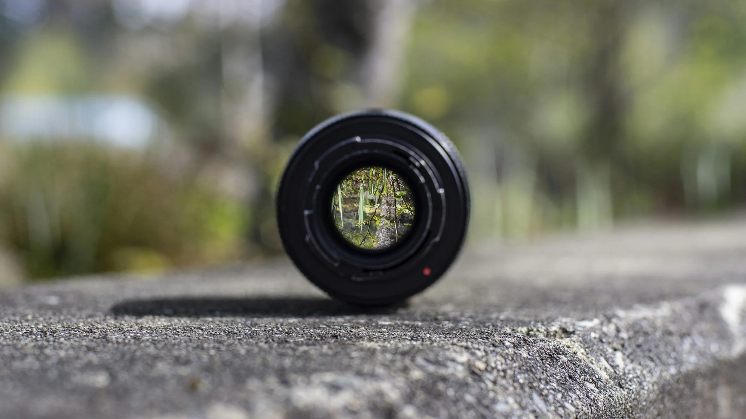 Camera lens in nature, symbolizing focus in brainspotting therapy on Los Angeles counseling website