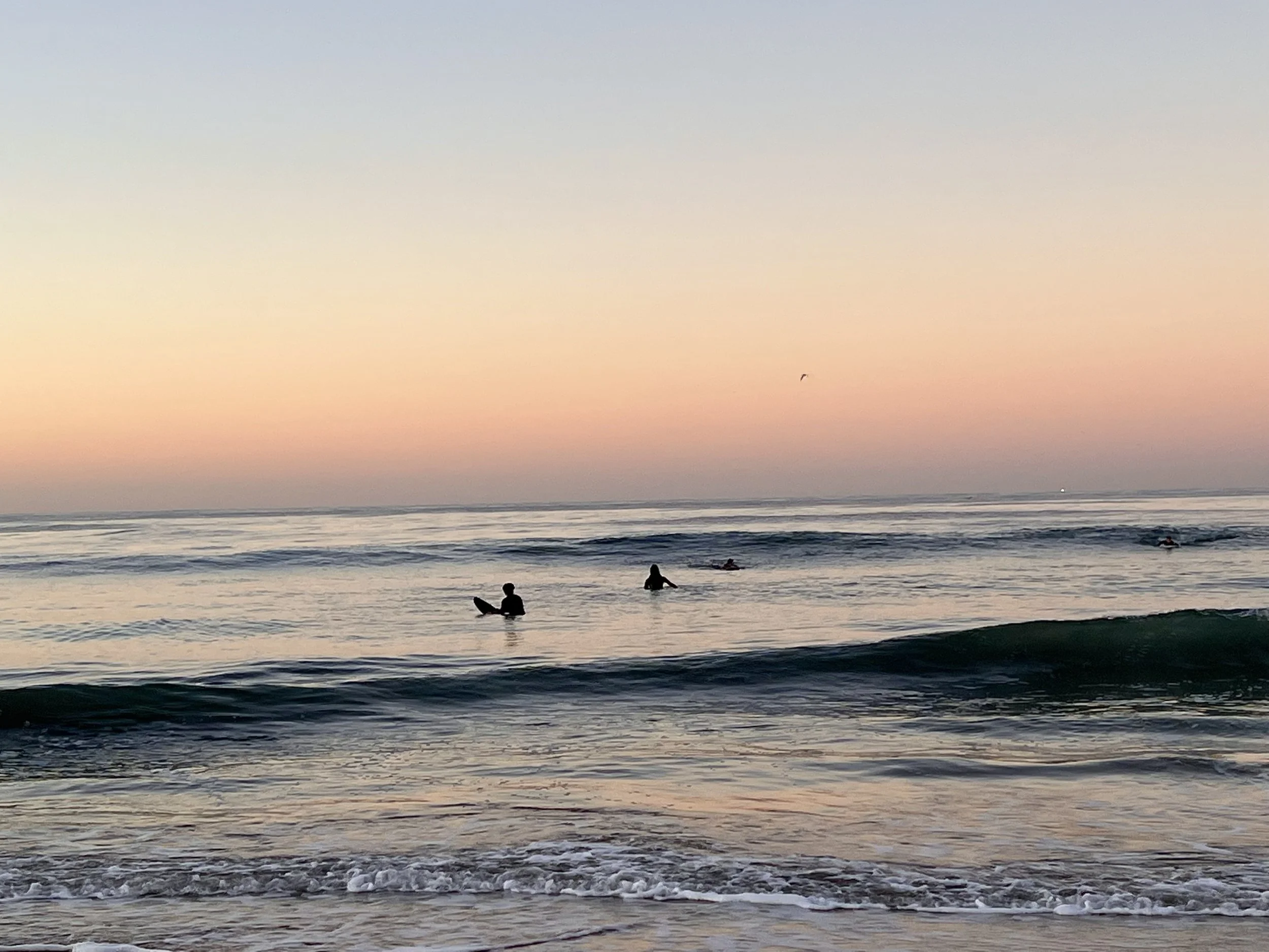 Gratitude in Practice 