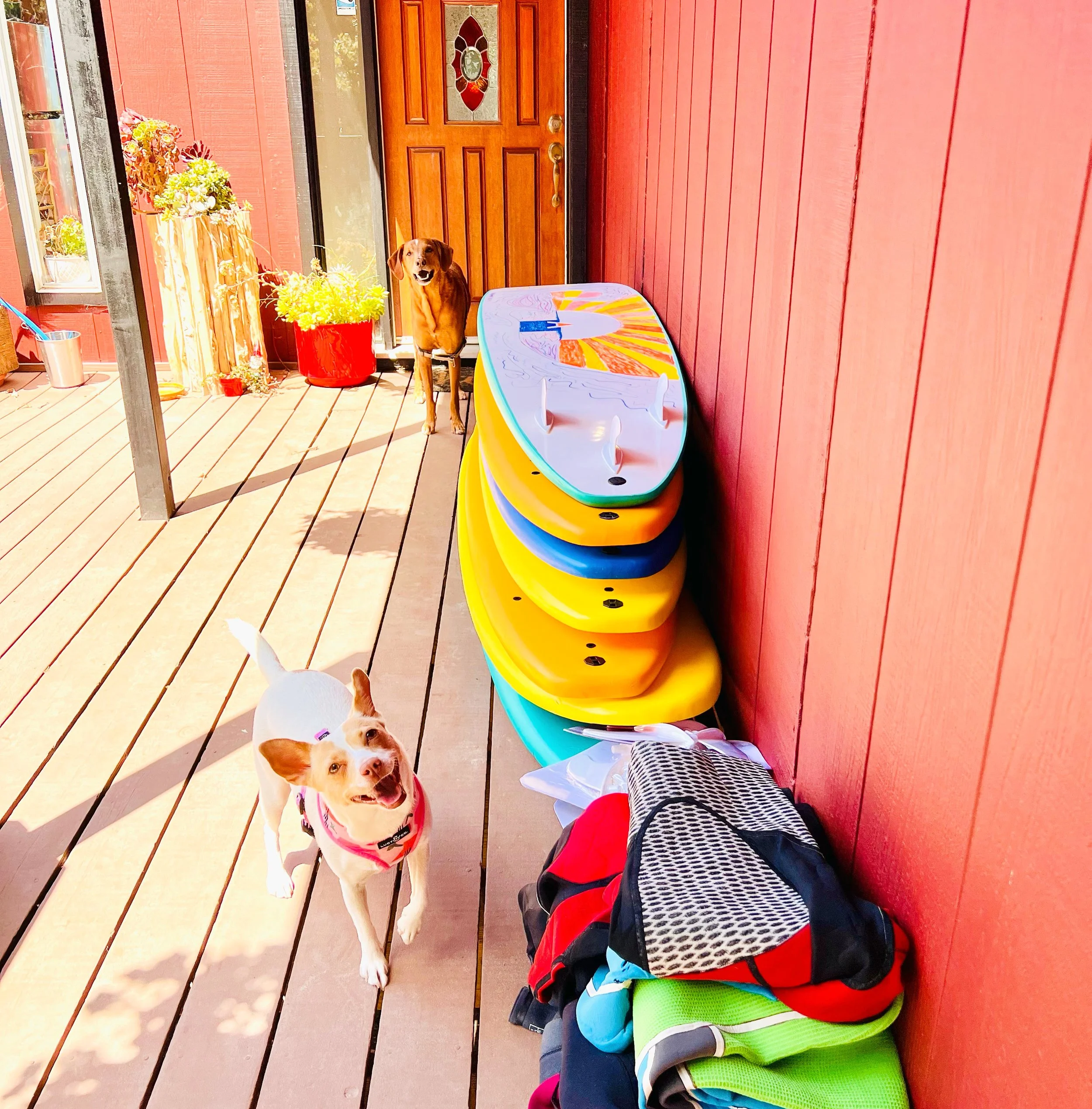 Holistic Surf Weekend: Embracing Play, Art as Expression, and Releasing Comparison