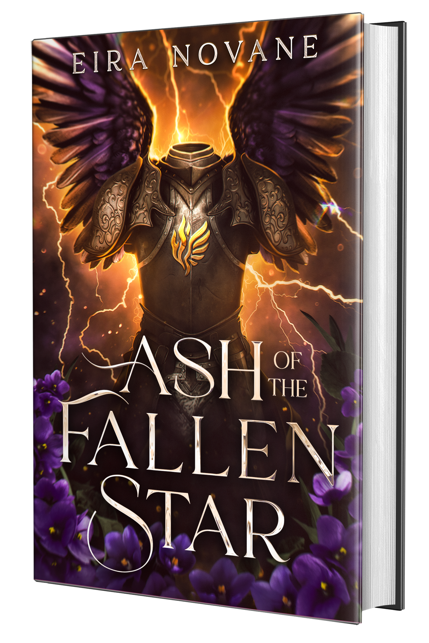 3D book cover image for Ash of the Fallen Star.