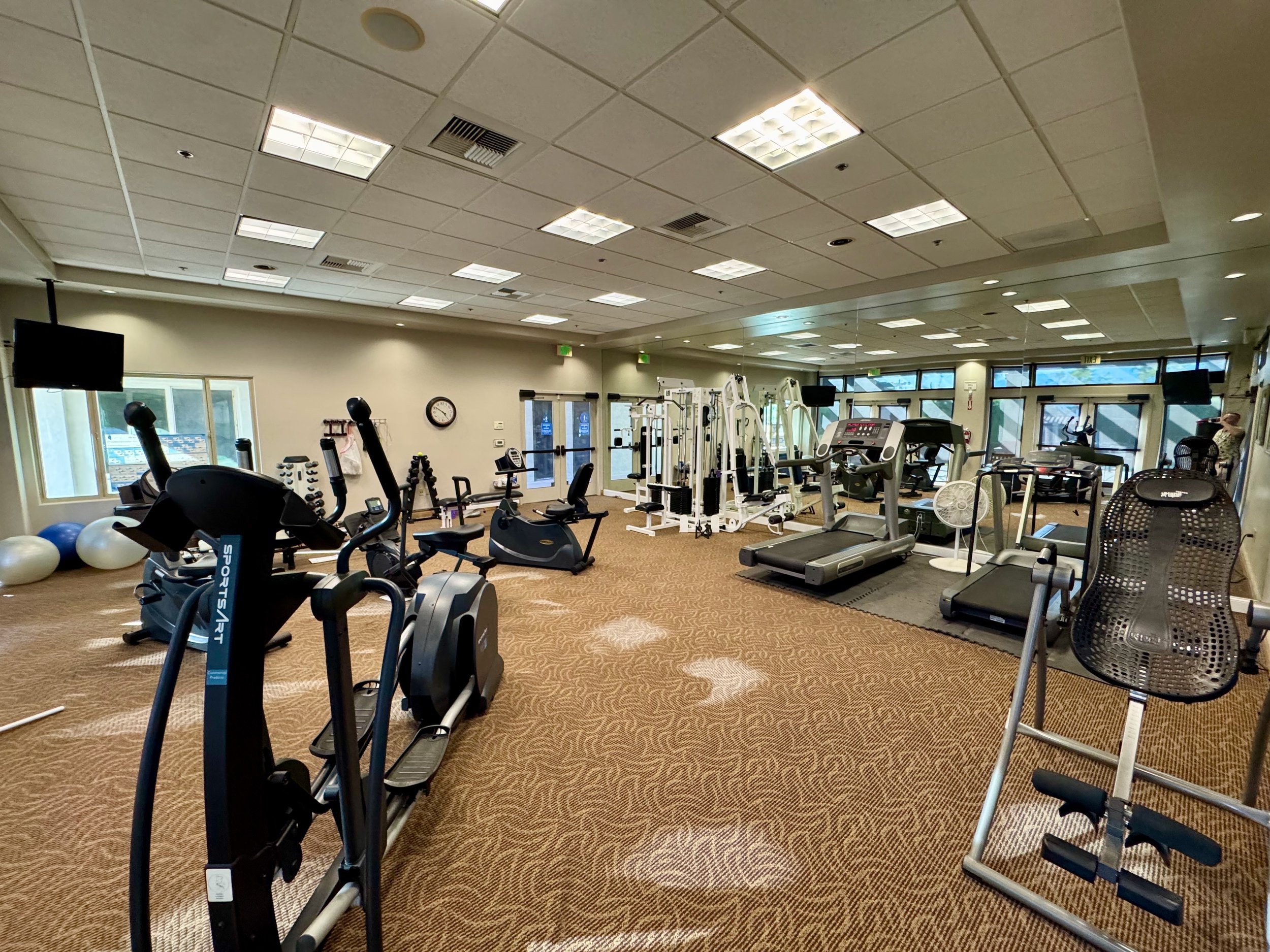 Modern gym interior with exercise equipment, including treadmills, ellipticals, weight machines, and stability balls. Well-lit with overhead lights and large windows.
